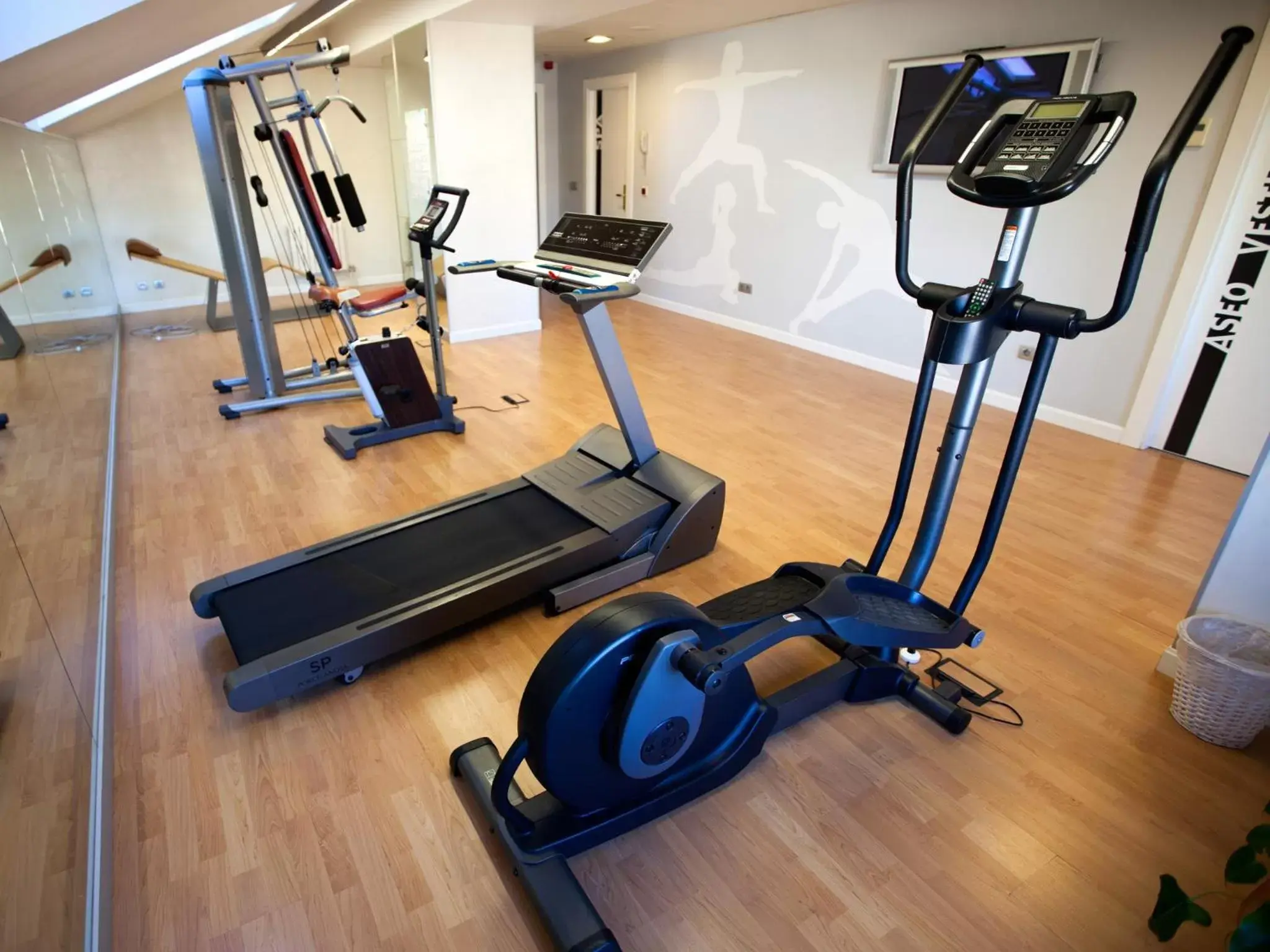 Fitness centre/facilities, Fitness Center/Facilities in Hotel Alfonso VIII