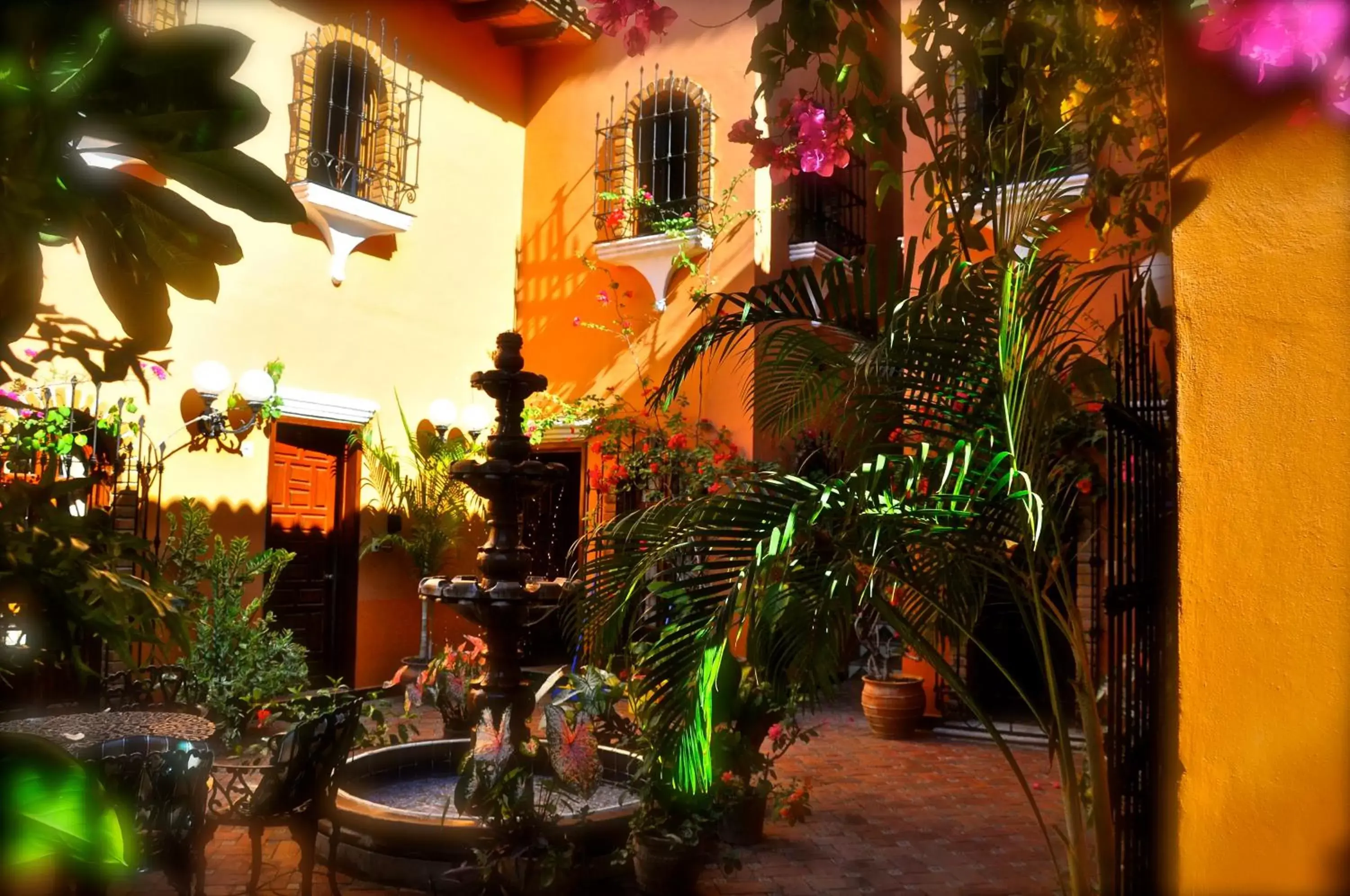 Garden, Property Building in Suites La Hacienda