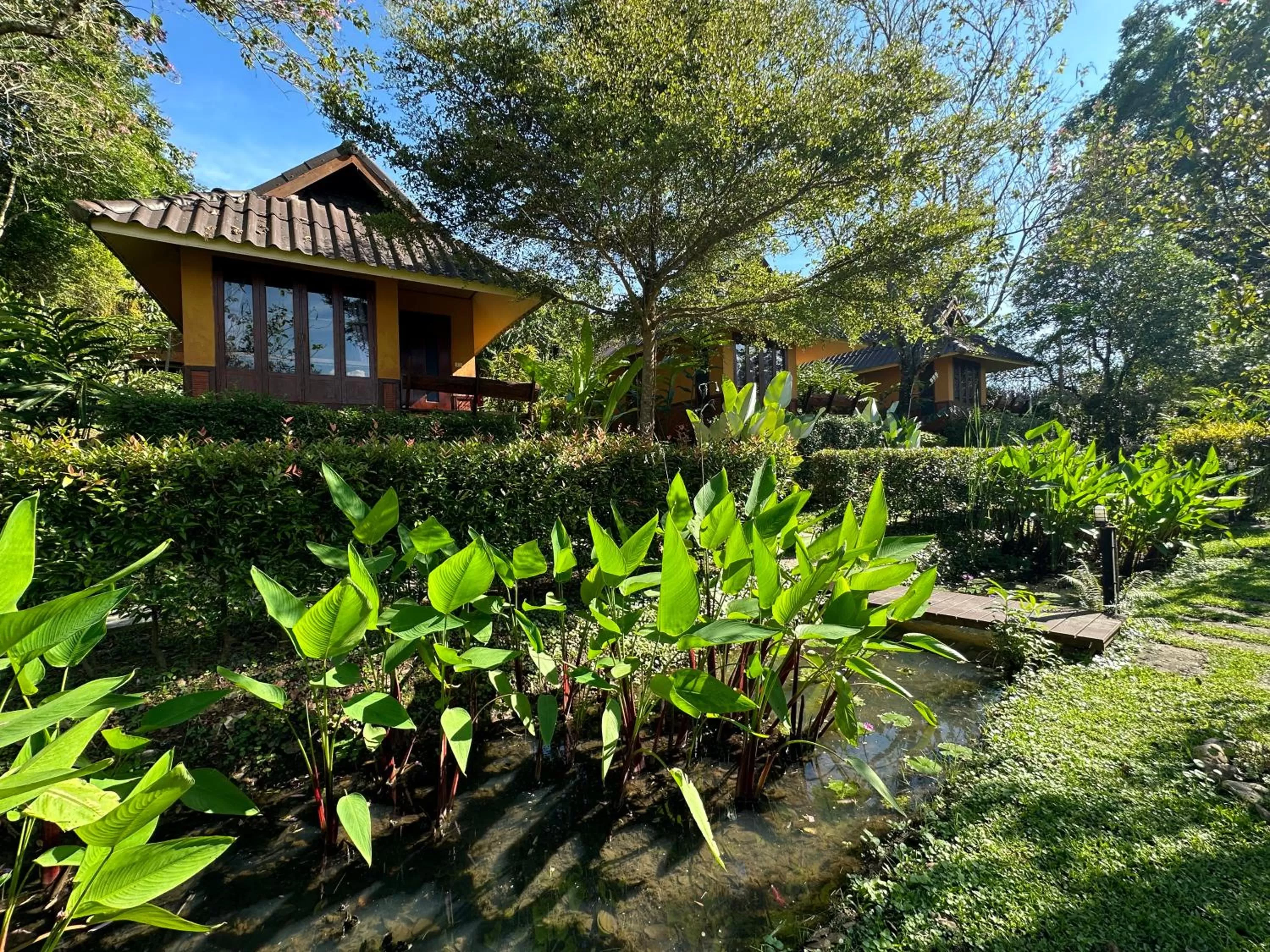 Property building in Pura Vida Pai Resort