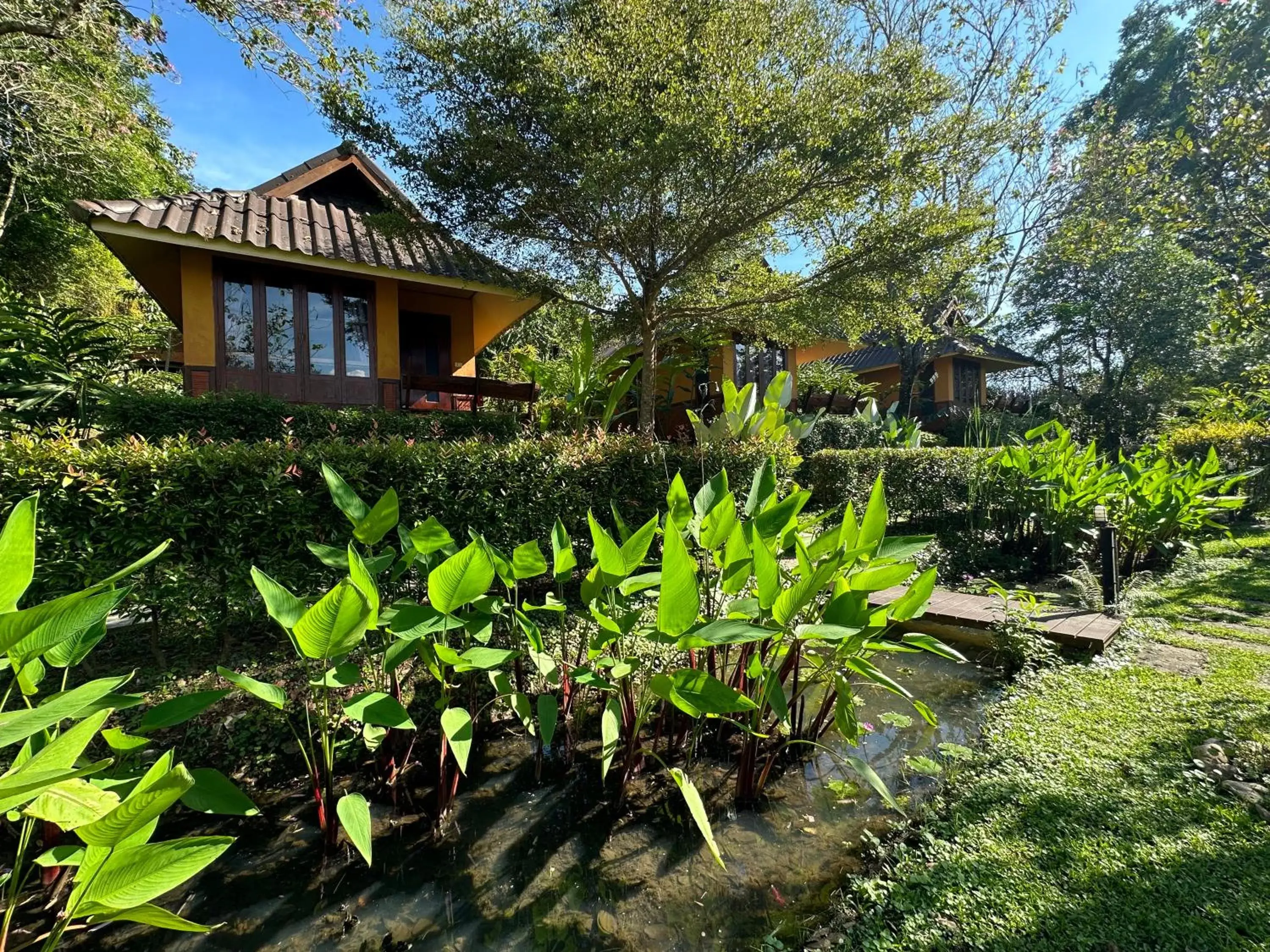 Property Building in Pura Vida Pai Resort