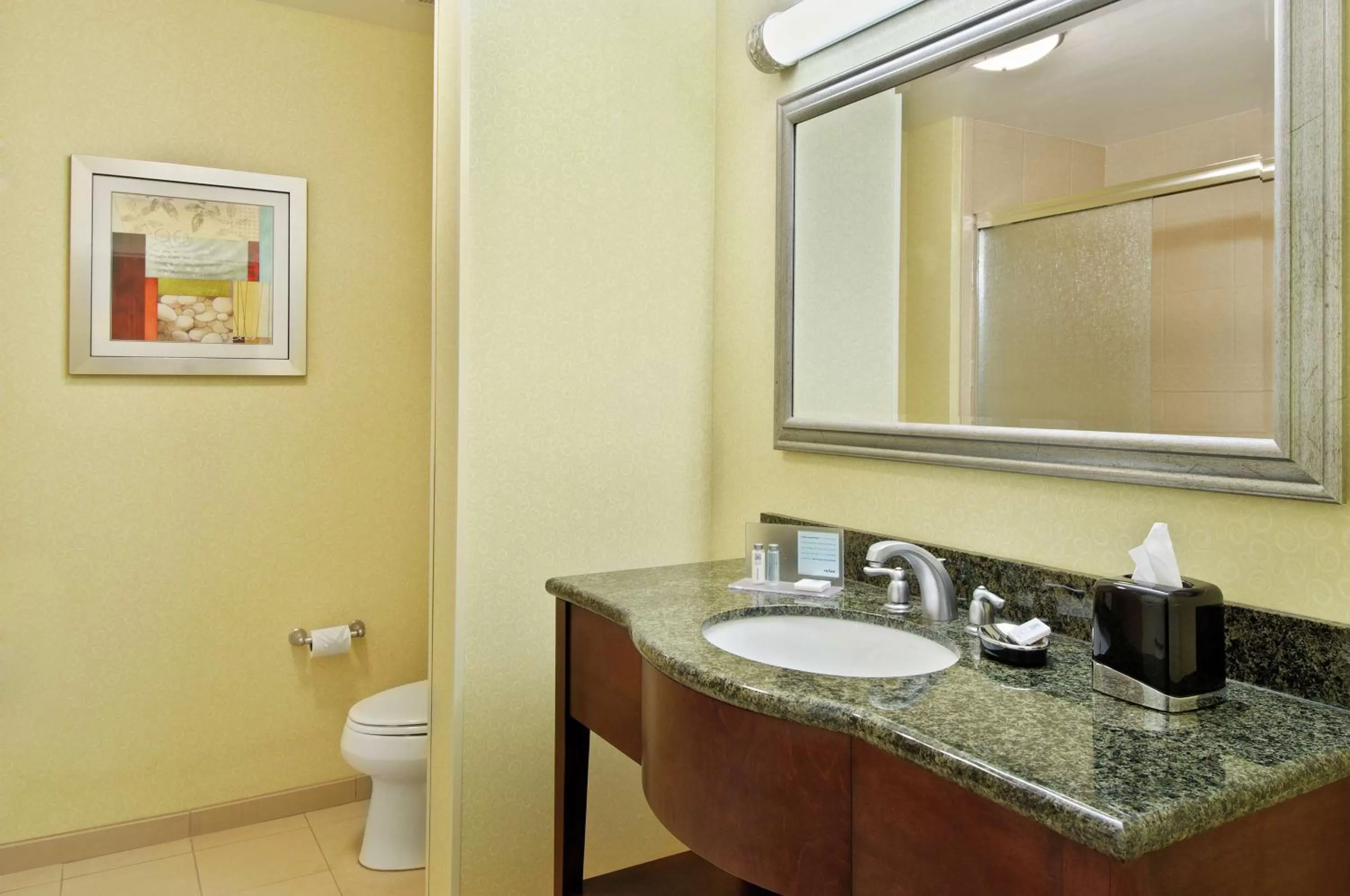 One King Mobility/Hearing With Tub Non-Smoking  in Hampton Inn & Suites Knoxville-Turkey Creek