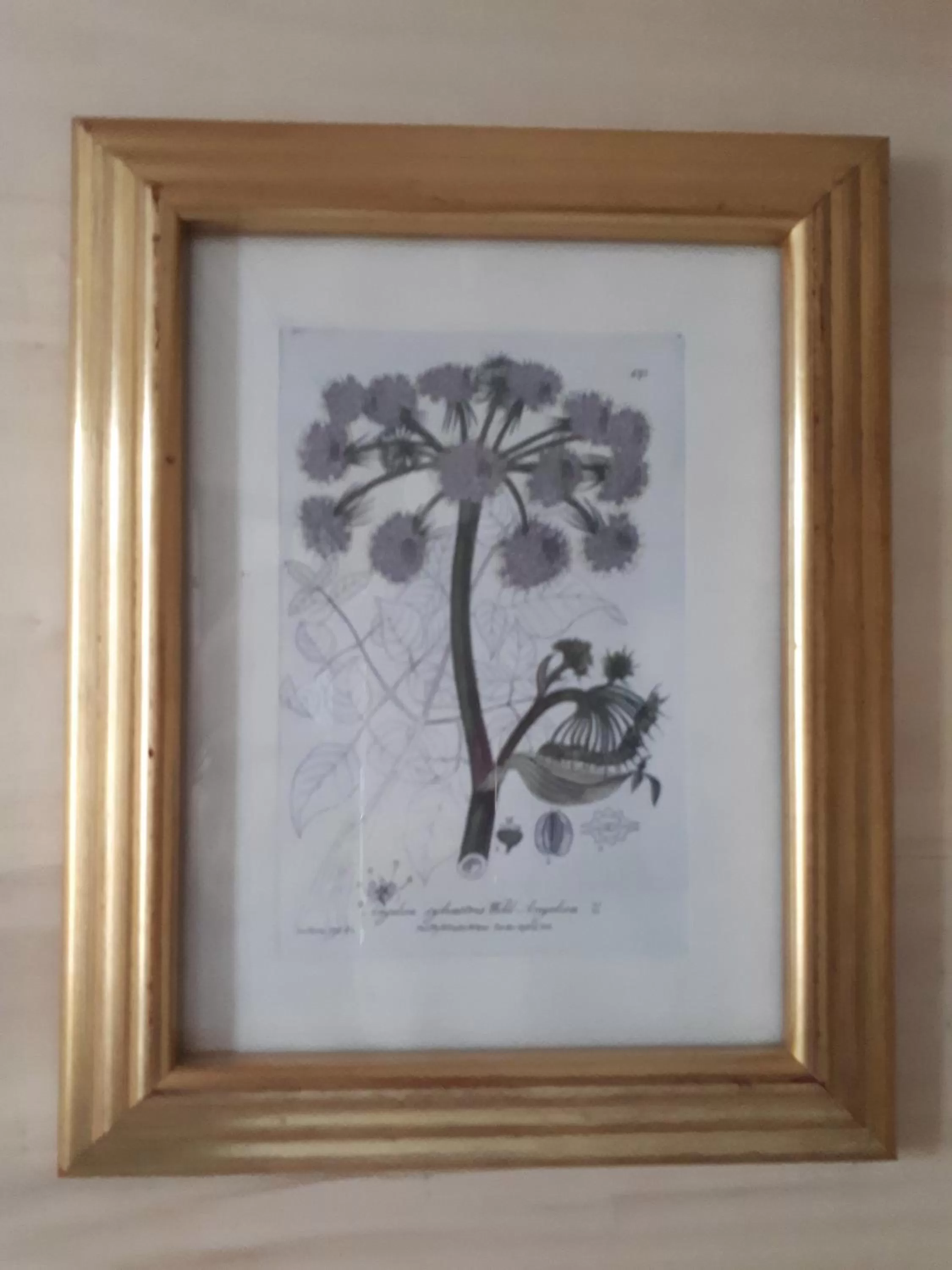 Decorative detail in Sûn Chambres d'hôtes