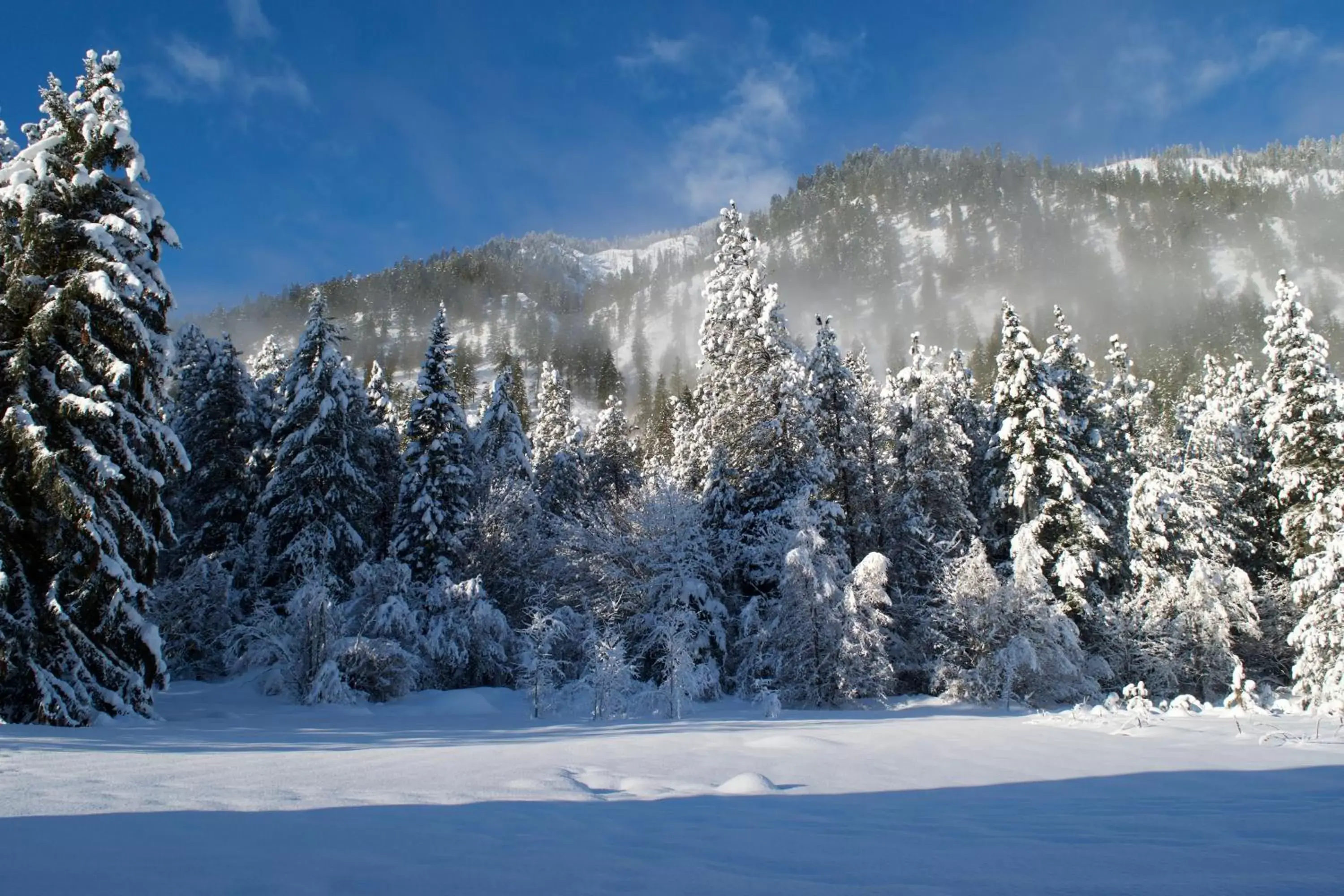 Natural landscape, Winter in Granite Hills Inn