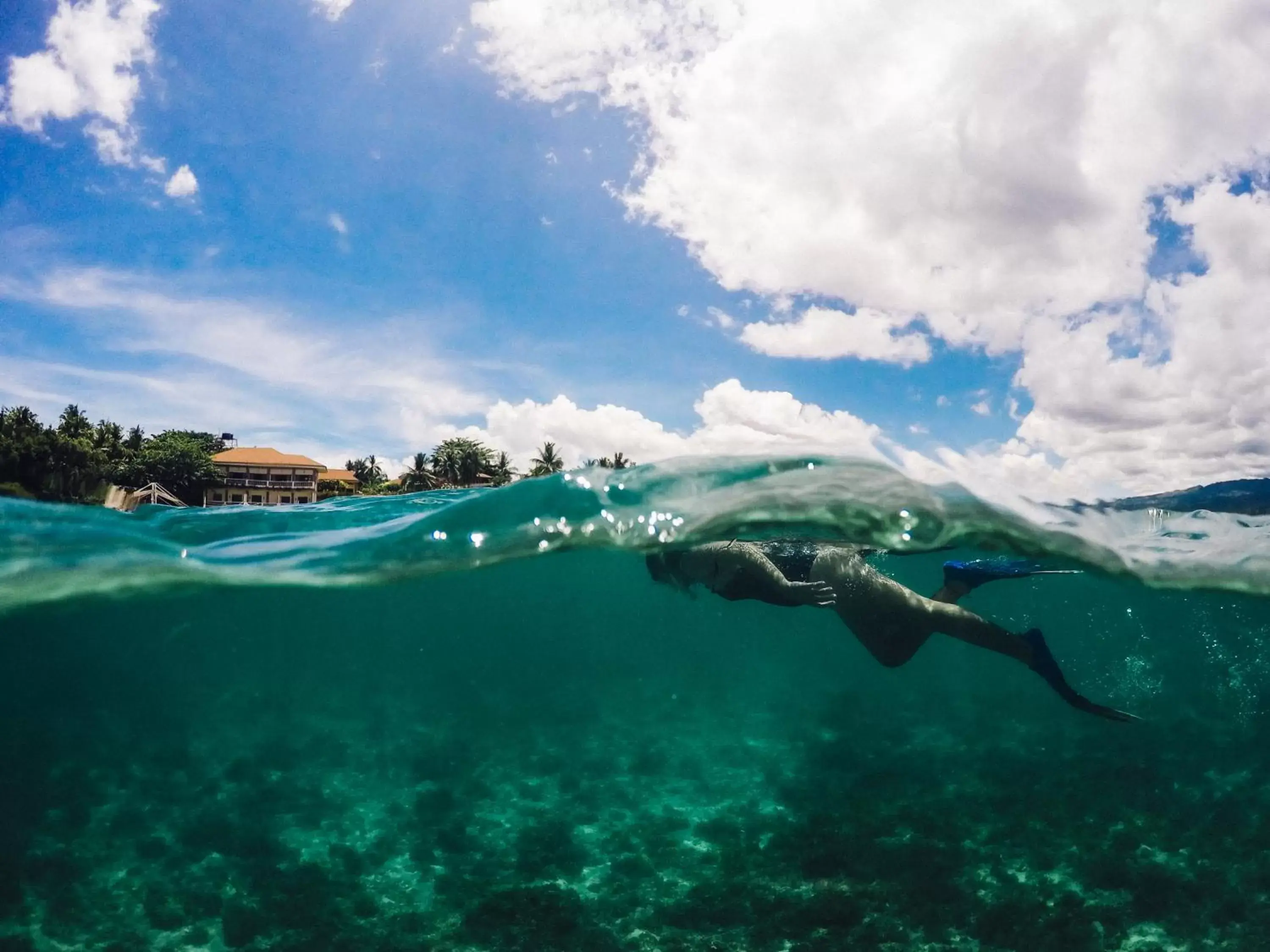 Snorkeling in Turtle Bay Dive Resort