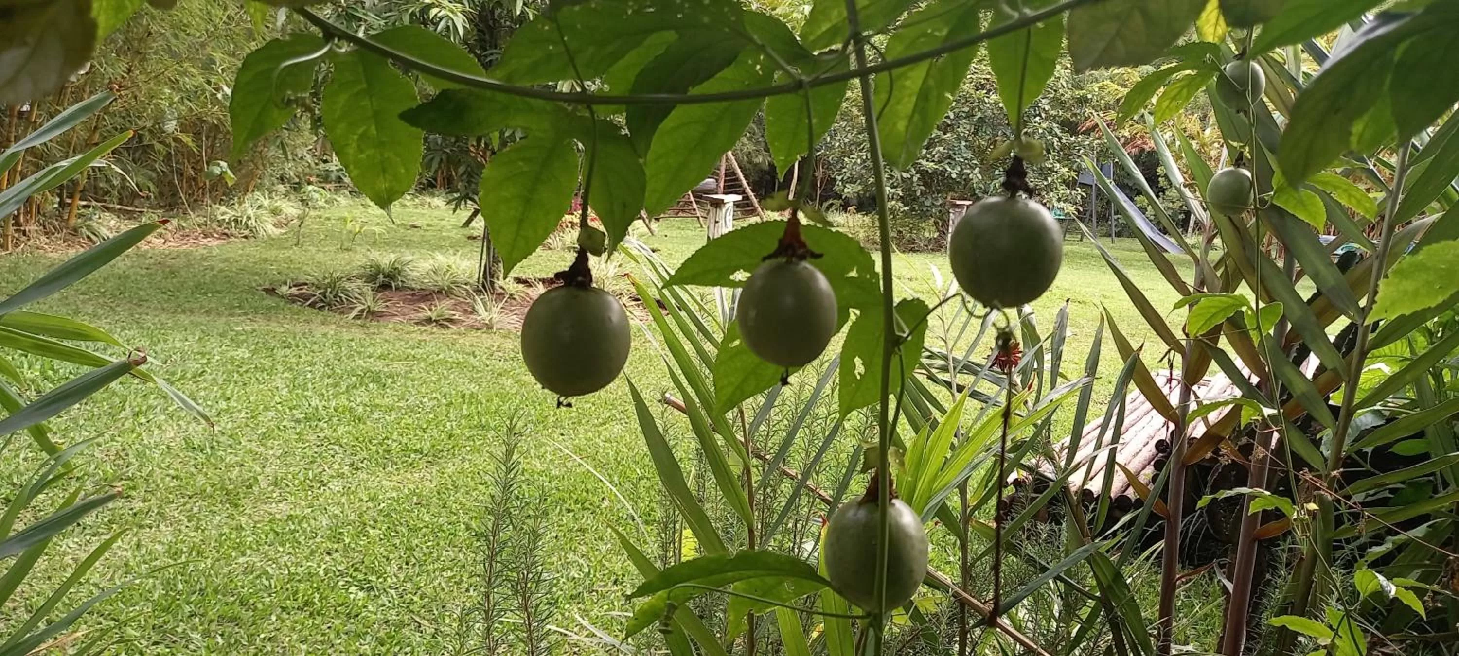 Day in Fravan Eco Resort By Apogee