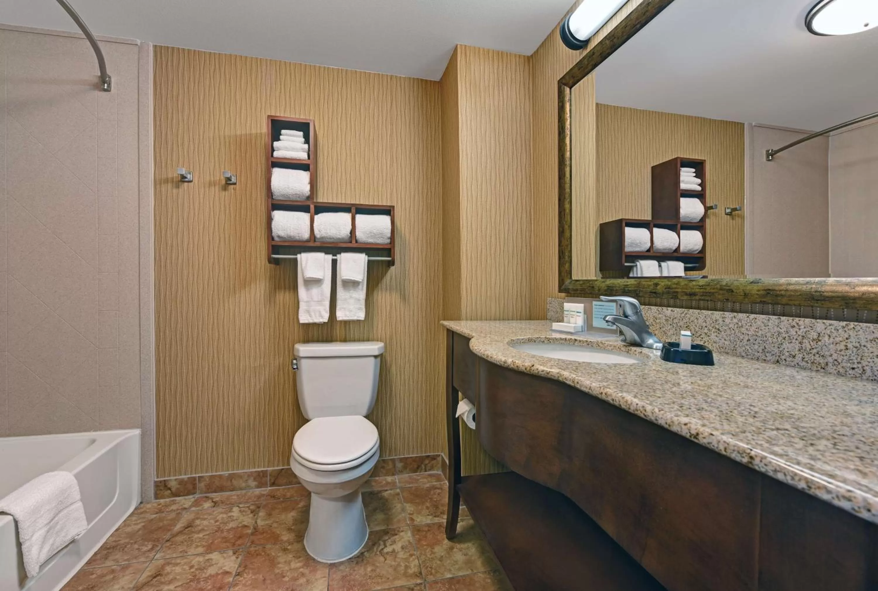 Bathroom in Hampton Inn Deming