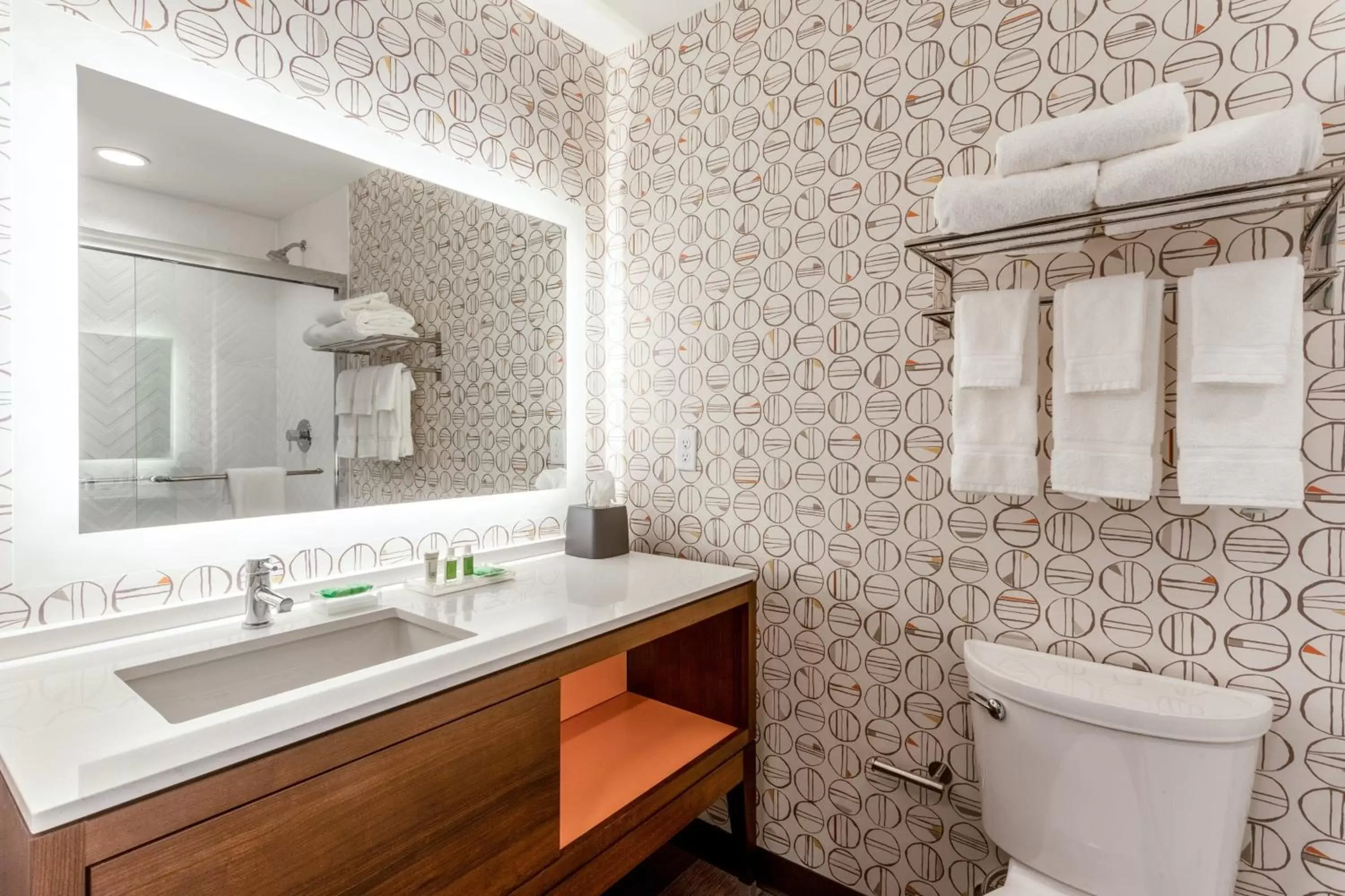 Bathroom in Holiday Inn & Suites Cedar Falls-Waterloo Event Ctr, an IHG Hotel