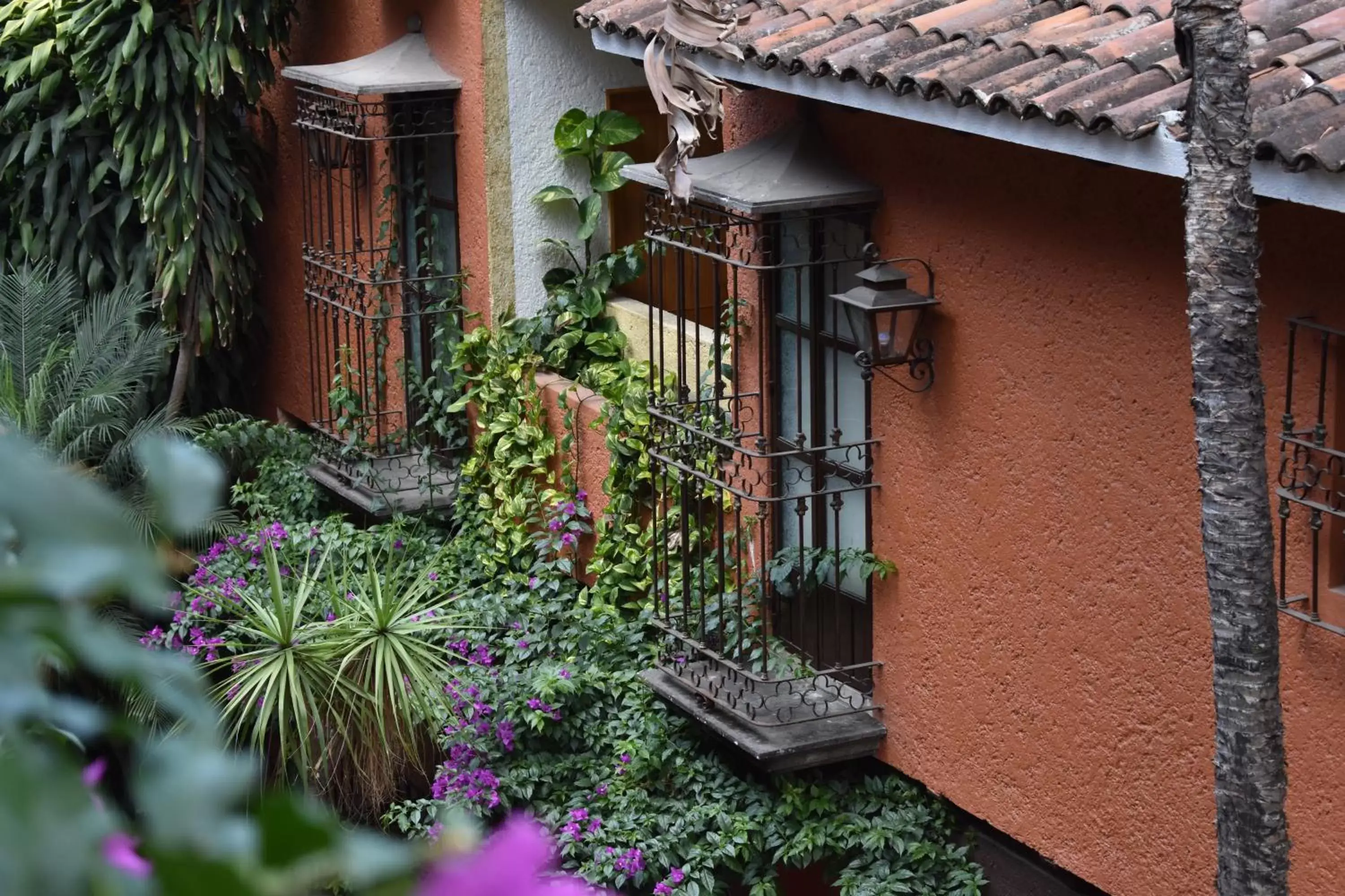 Balcony/Terrace in Hosteria Las Quintas Hotel & Spa