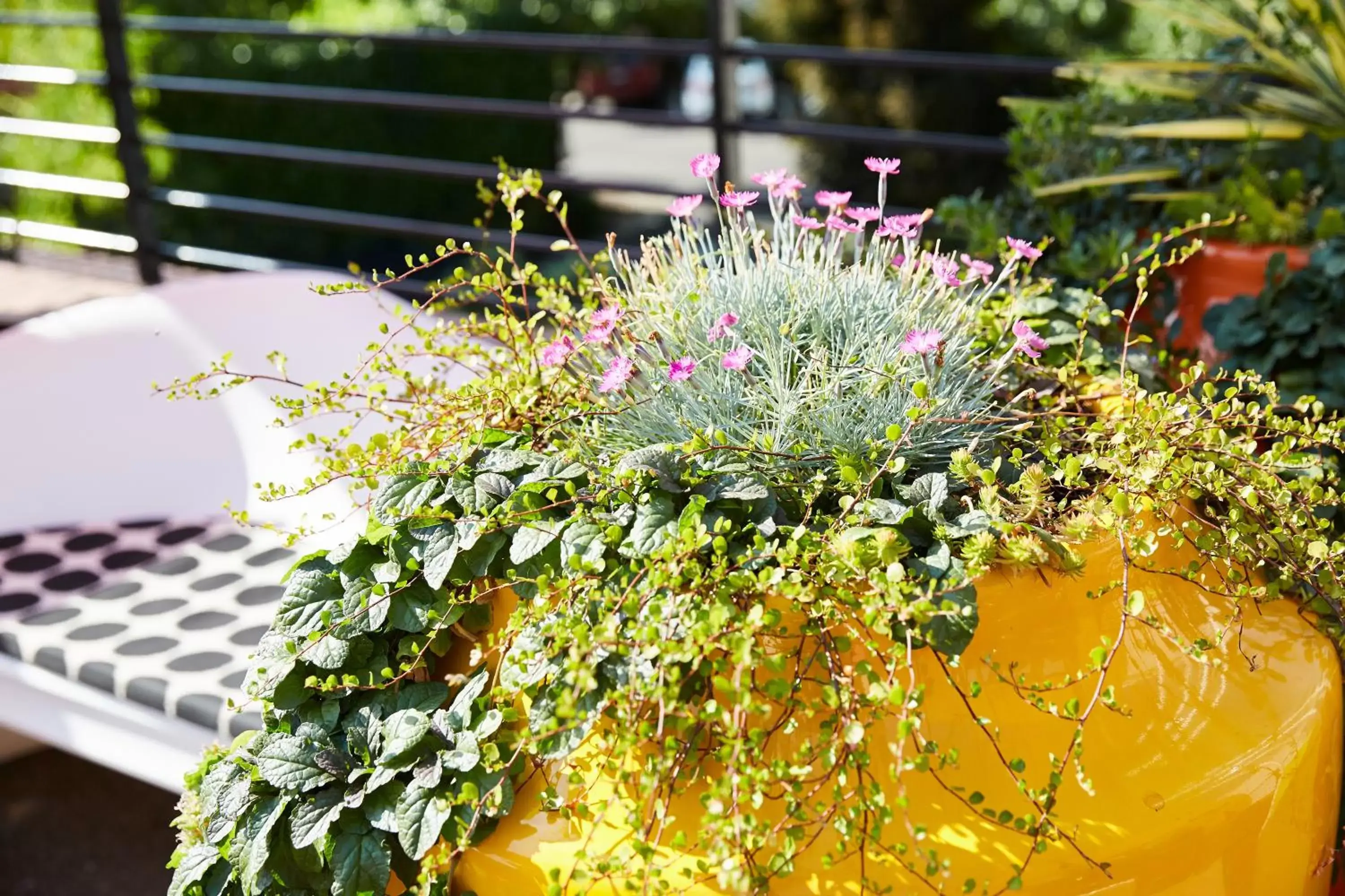 Garden in Inn at Northrup Station