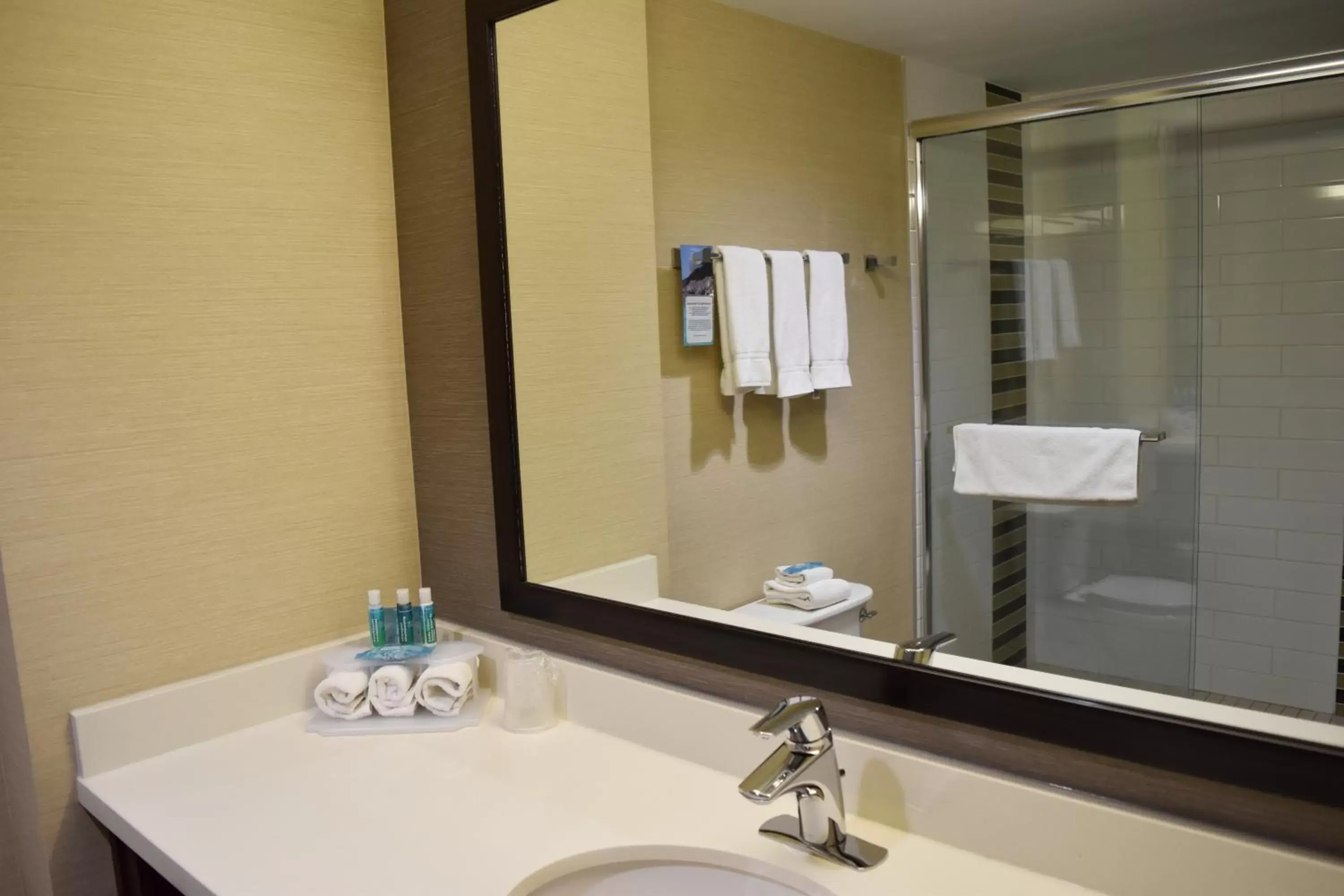 Bathroom in Holiday Inn Express Golden-Kicking Horse, an IHG Hotel