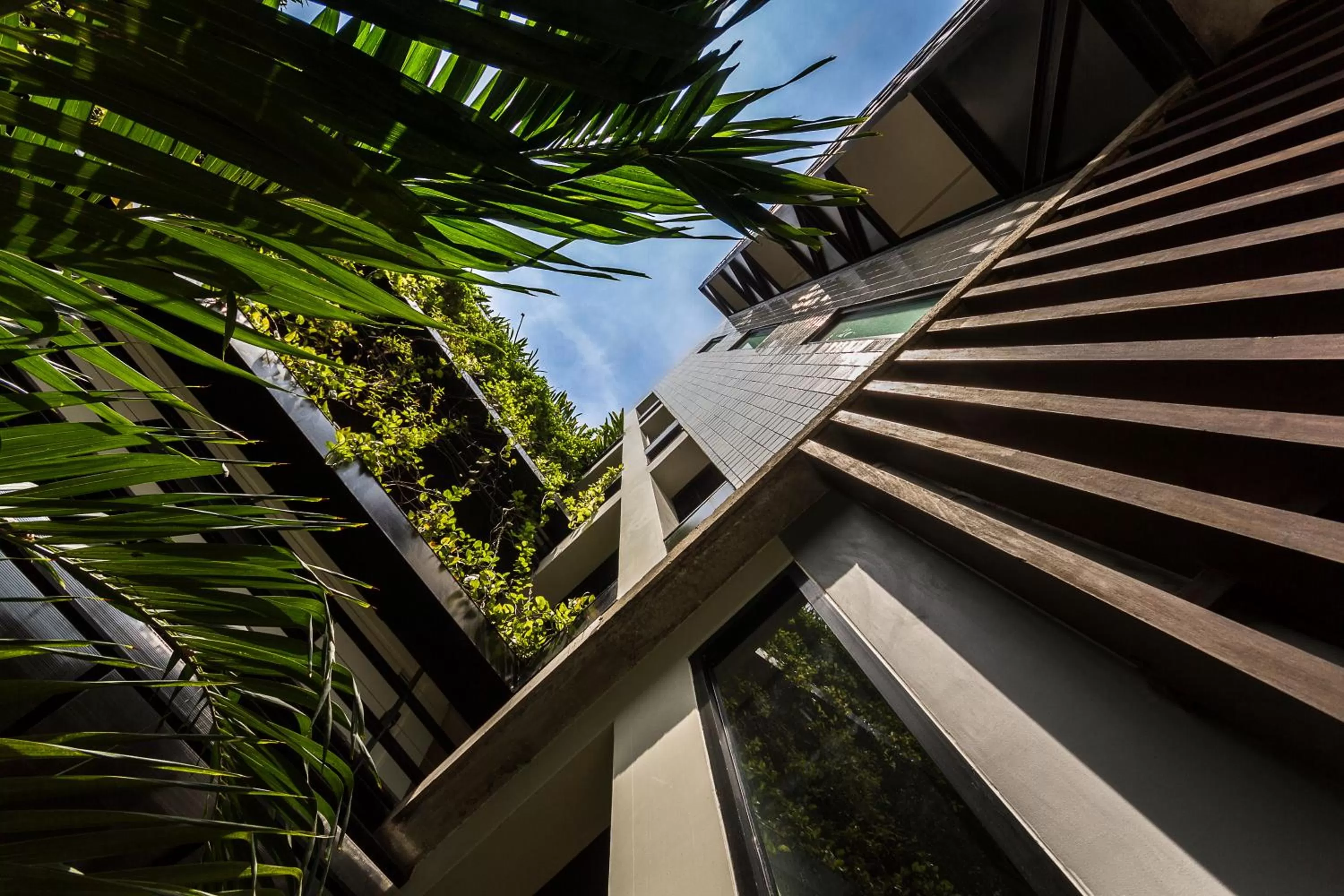 Property building in The Aviary Hotel