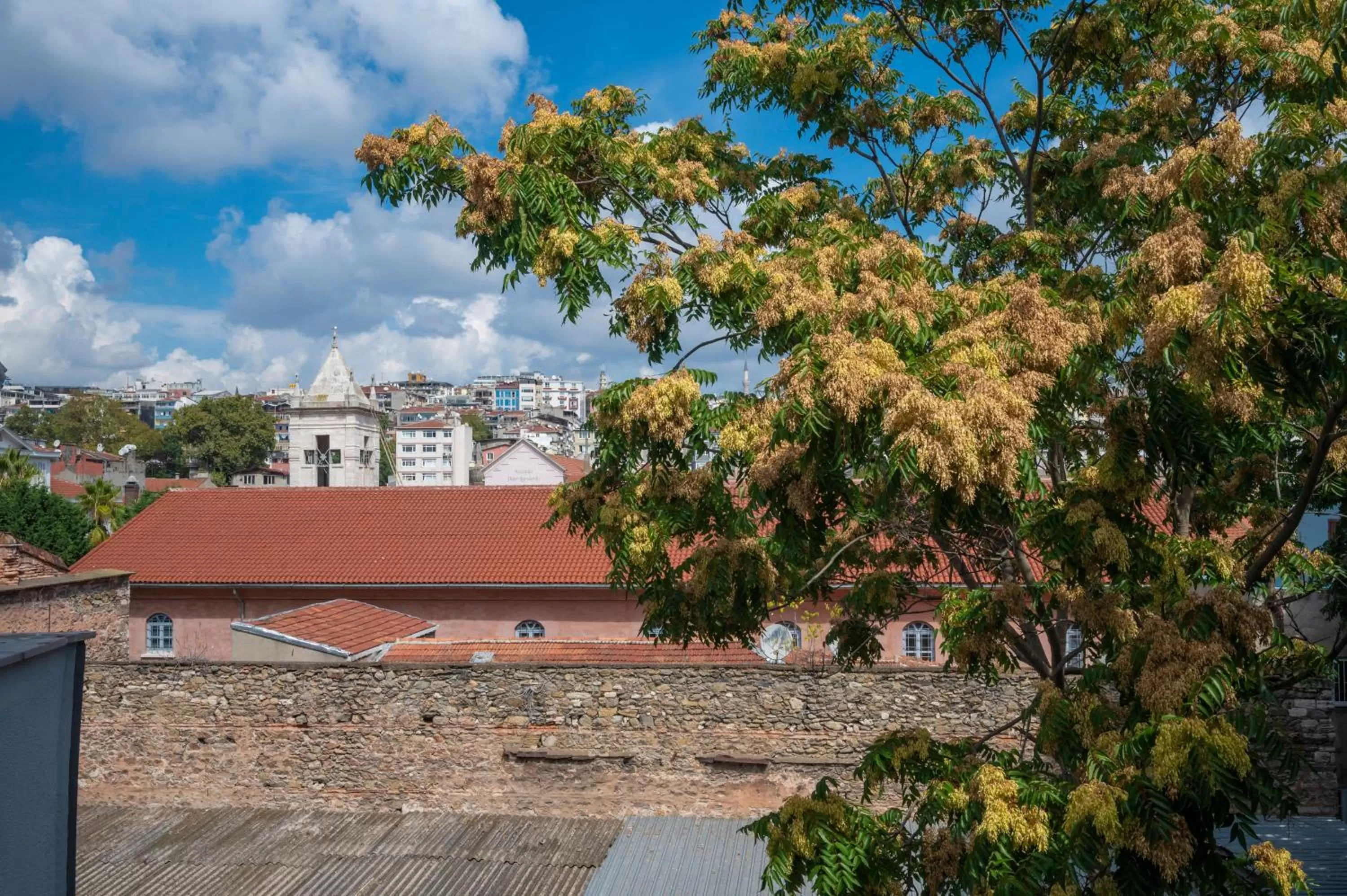 Neighbourhood in Okda Hotel