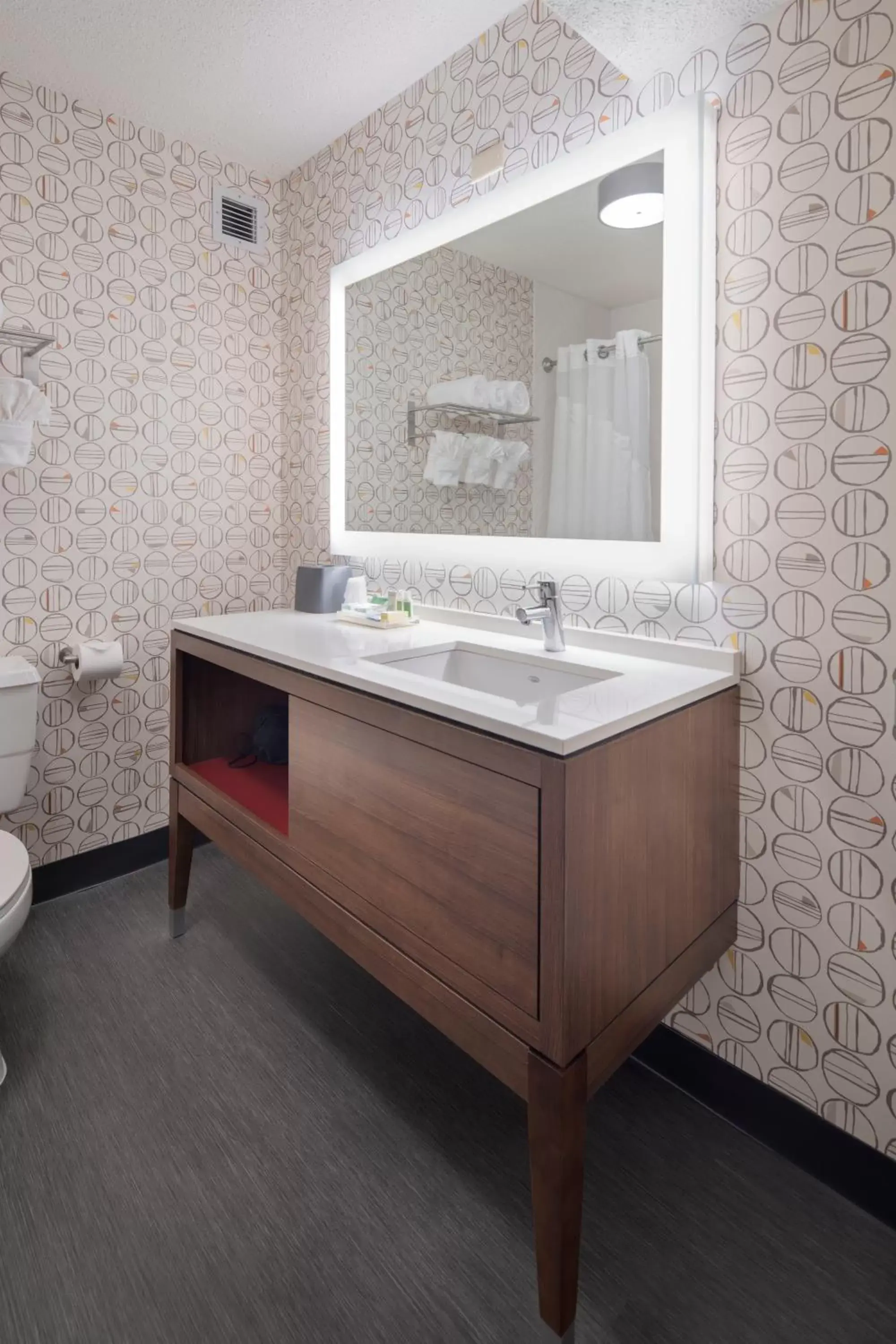 Bathroom in Holiday Inn Asheville - Biltmore West, an IHG Hotel