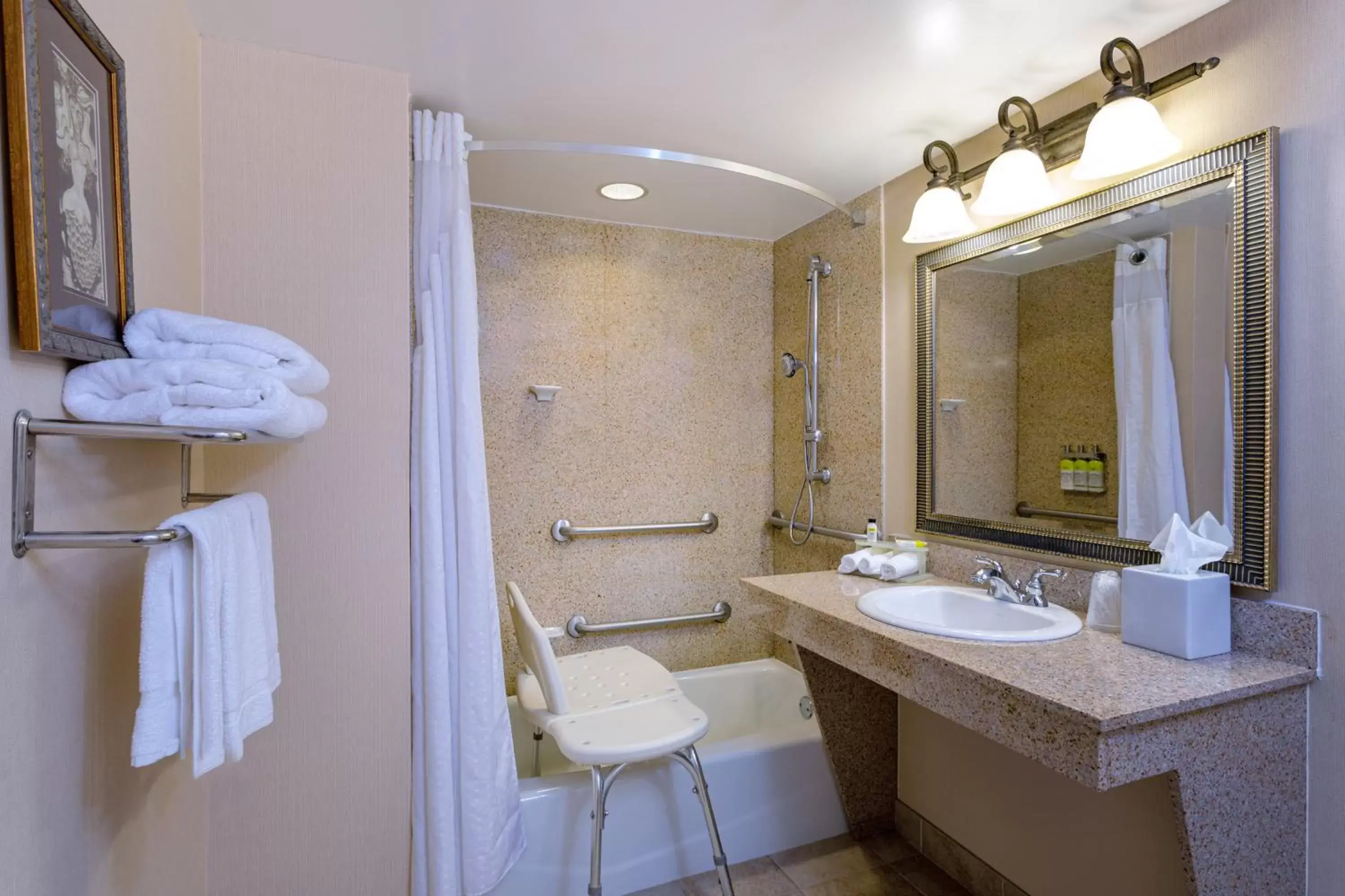 Bathroom in Holiday Inn Express & Suites Bradenton East-Lakewood Ranch, an IHG Hotel