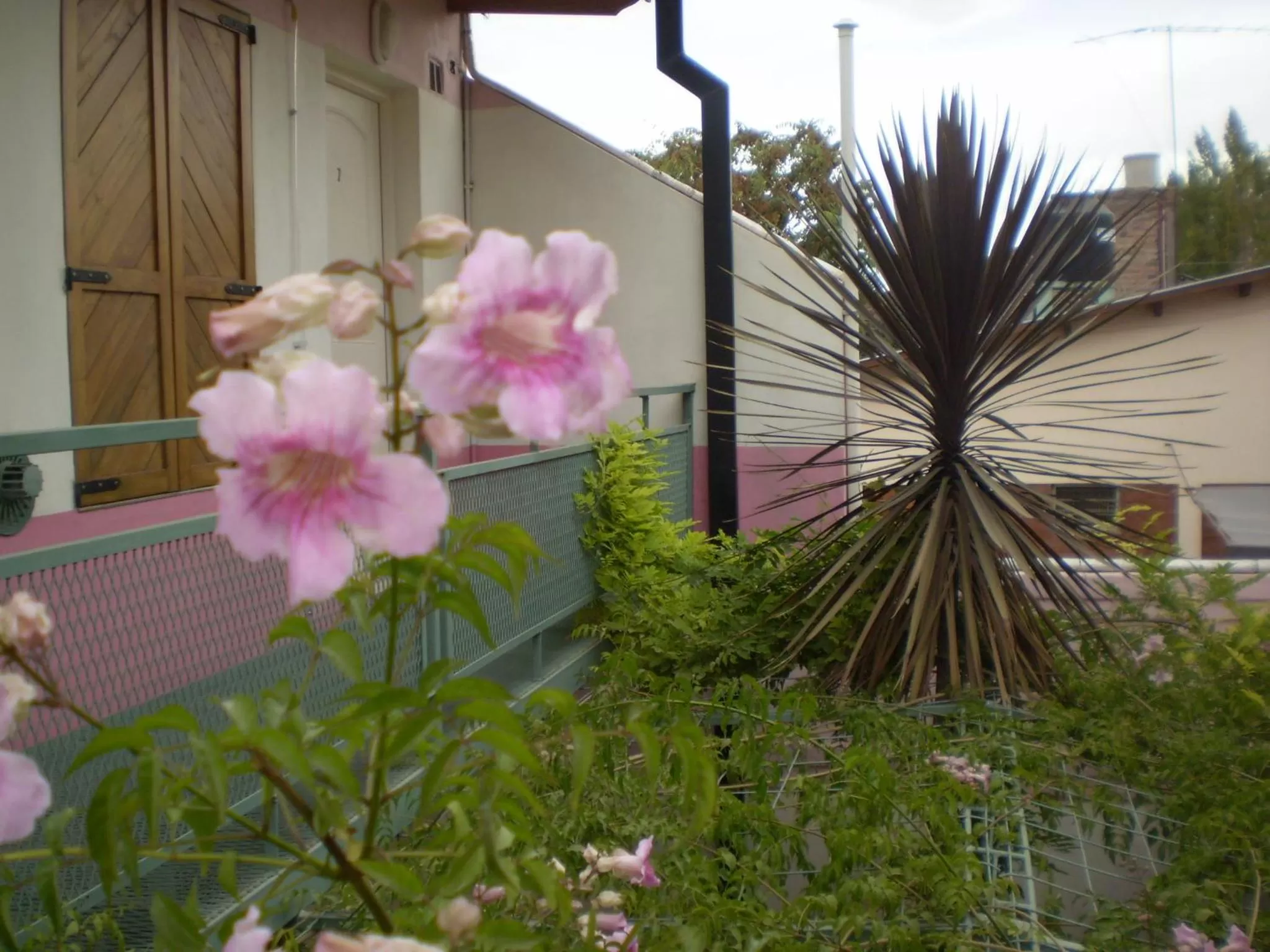 Balcony/Terrace in Complejo Solar Apart