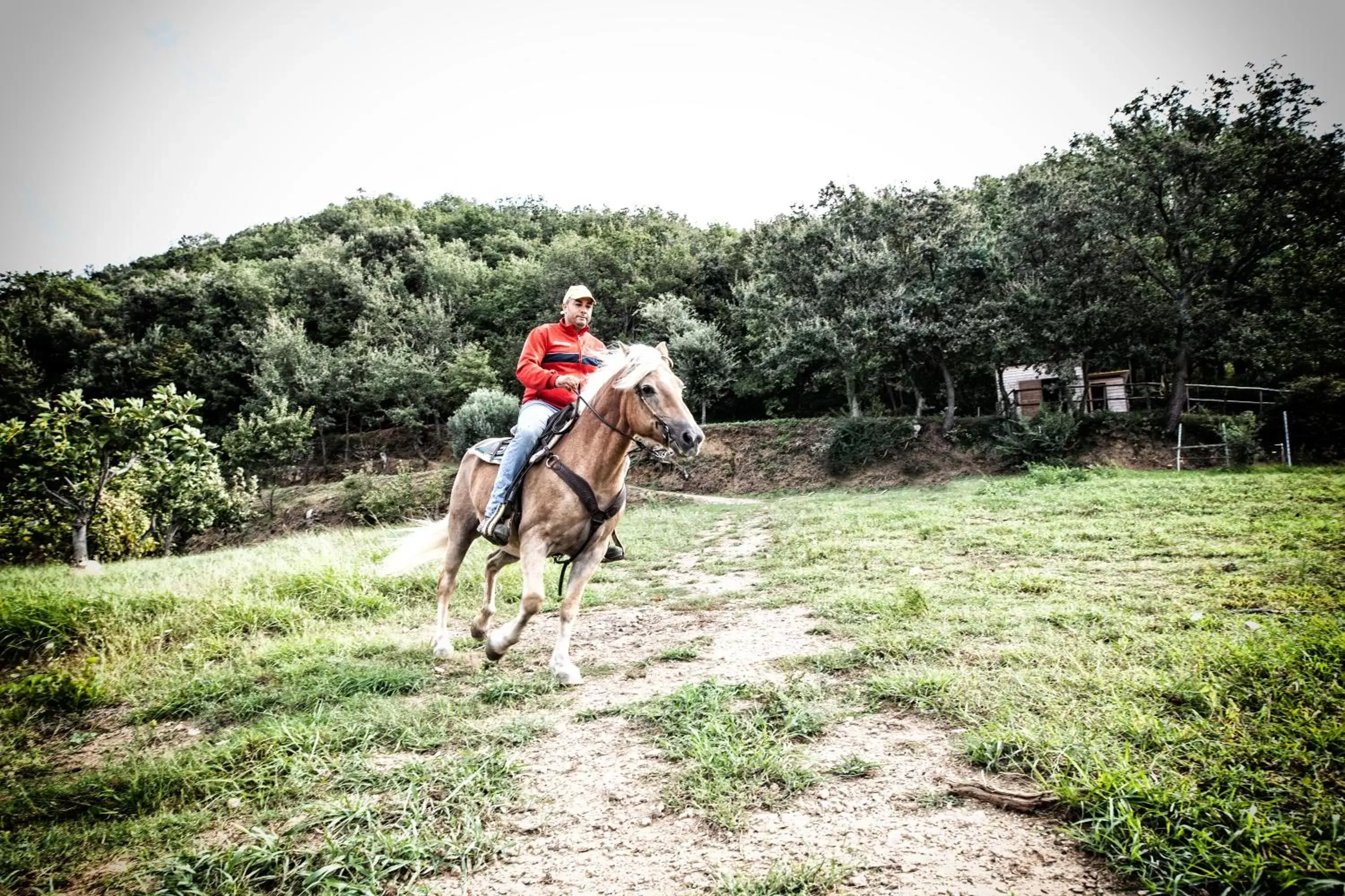 Horse-riding in Borgo Rosso di Sera Resort