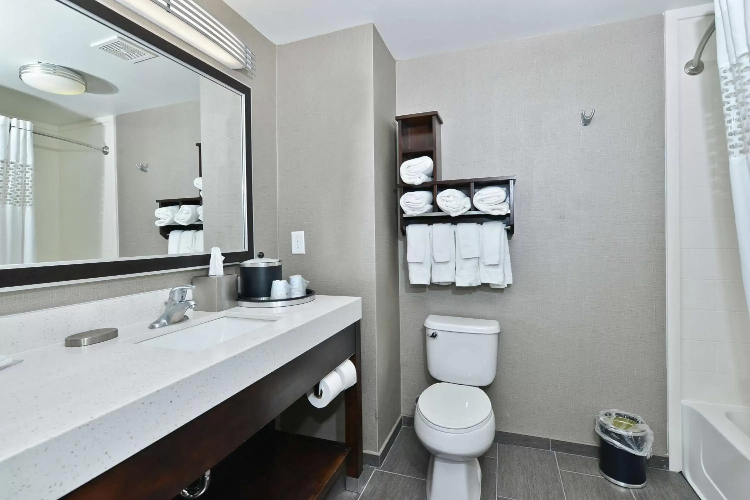 Bathroom in Hampton Inn & Suites Greensboro/Coliseum Area