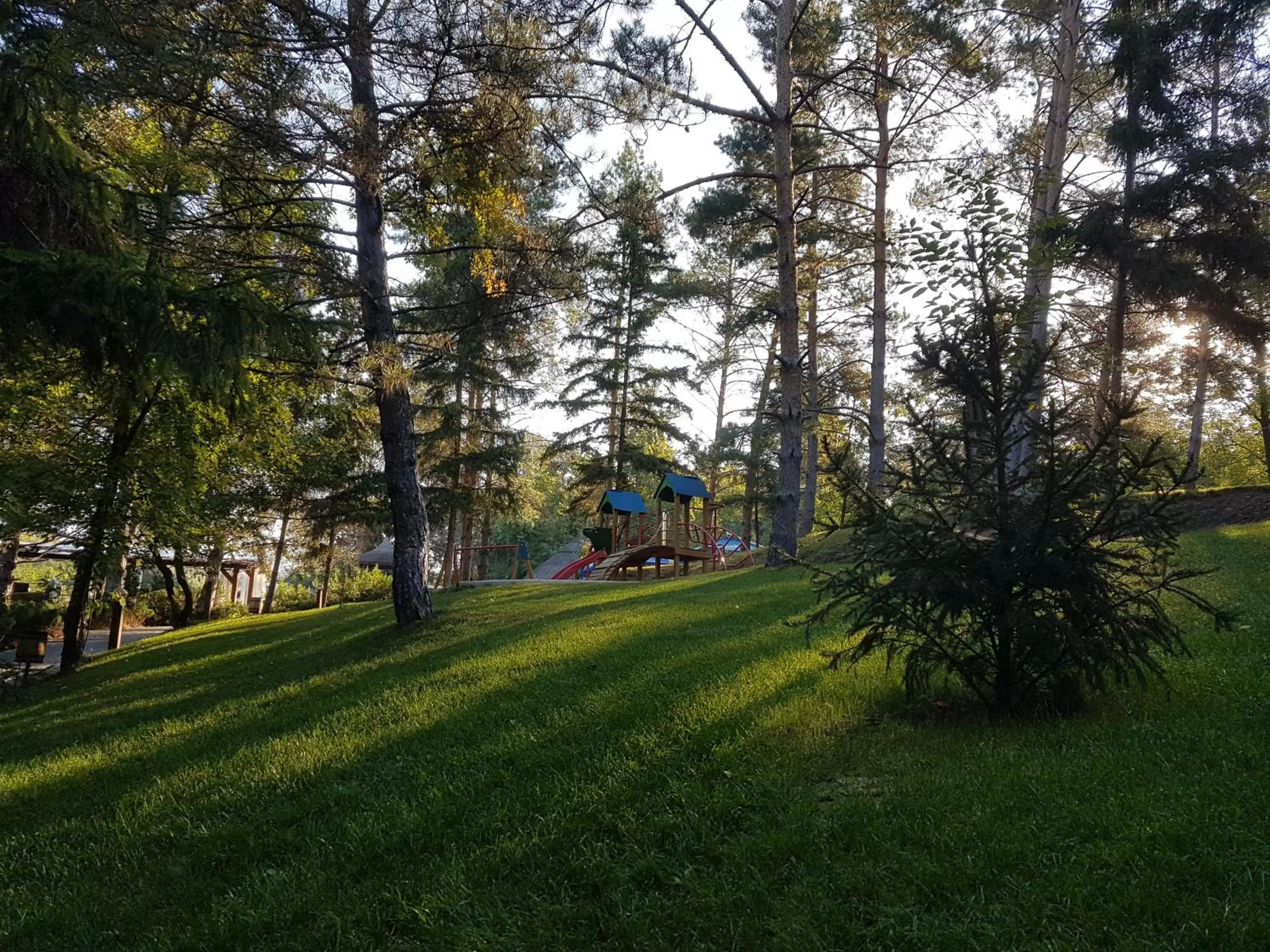 Tree House Relax Park