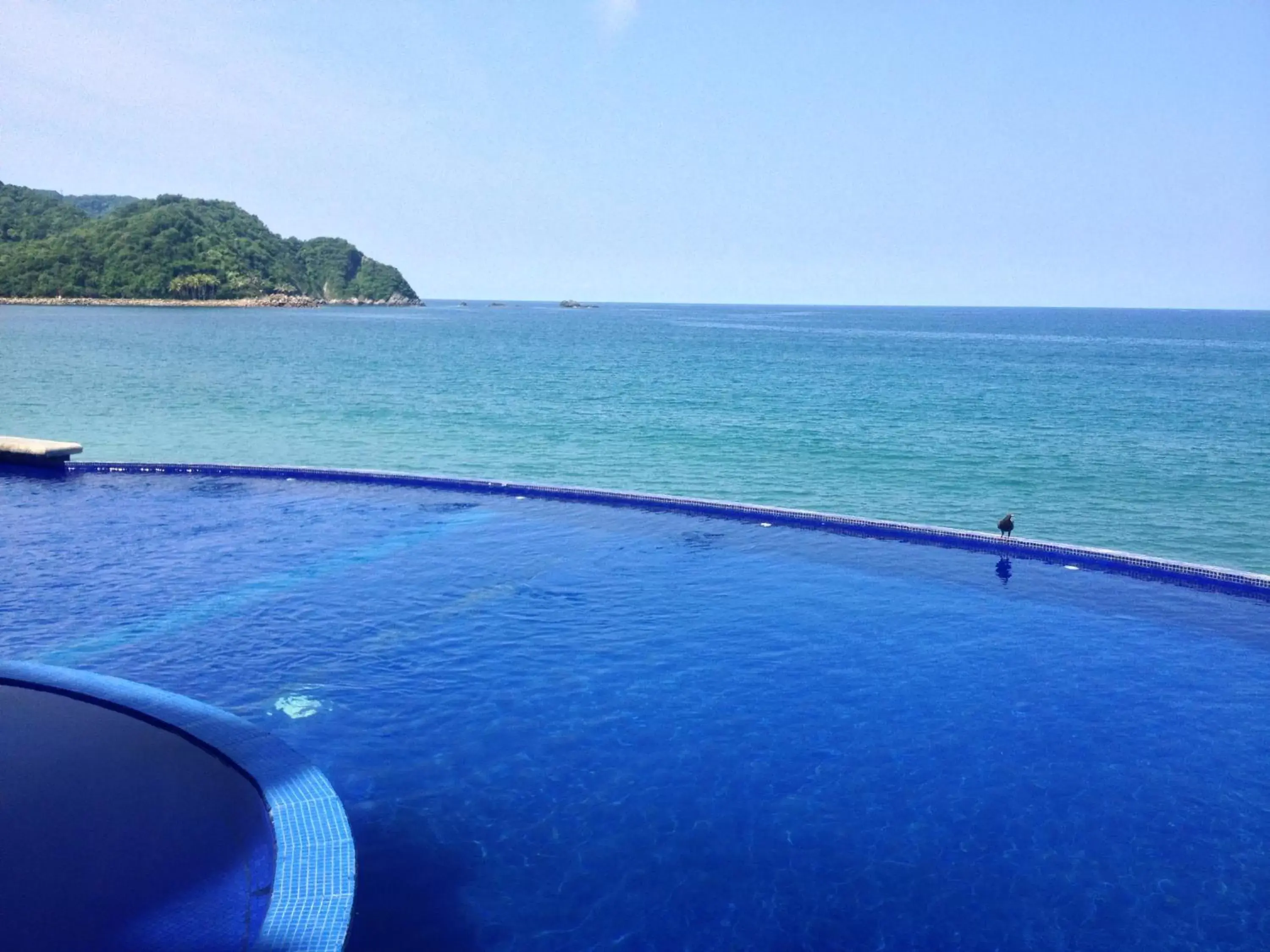 Swimming pool in Hotel Bogavante