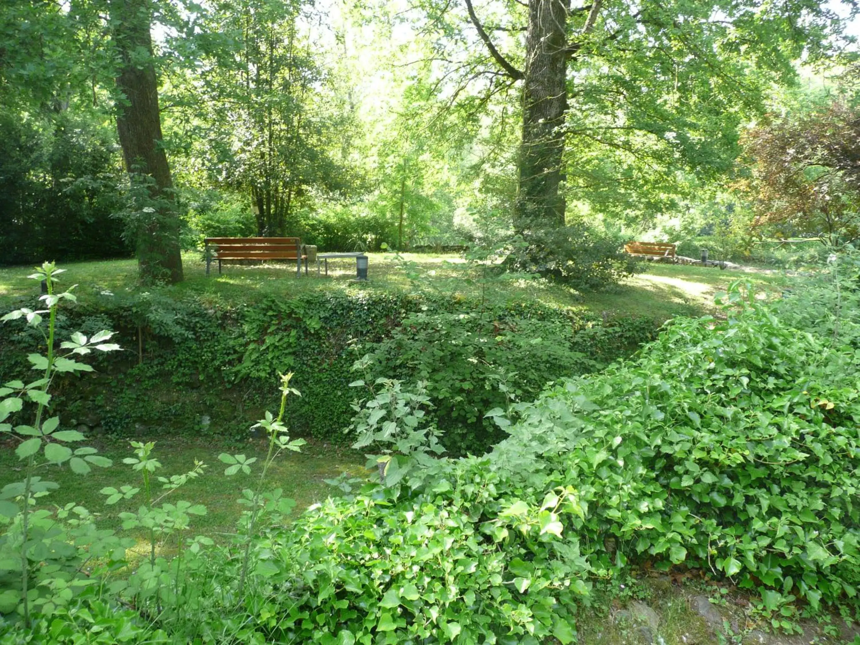 Garden in Hotel Can Blanc