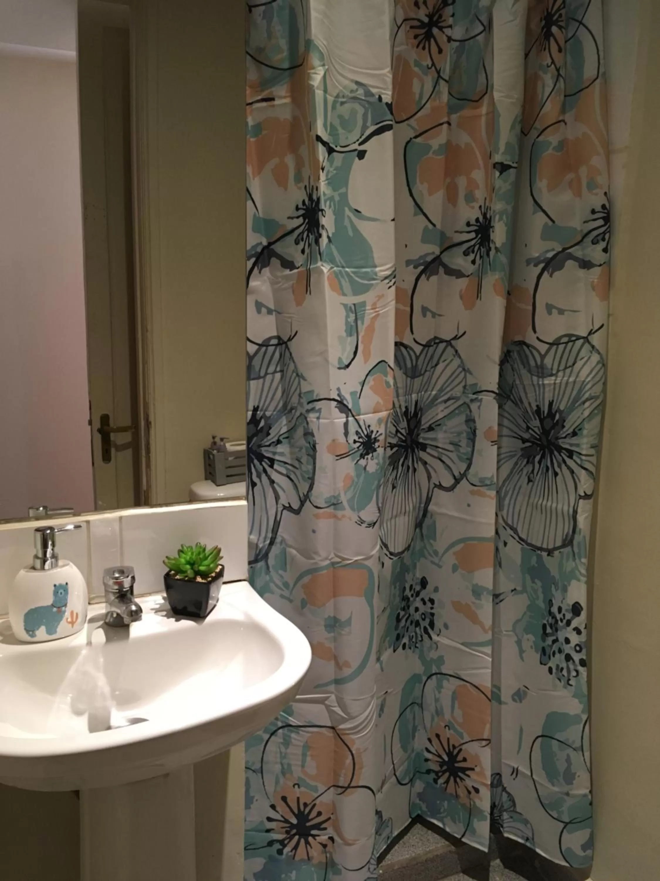 Bathroom in Andino Bed & Breakfast