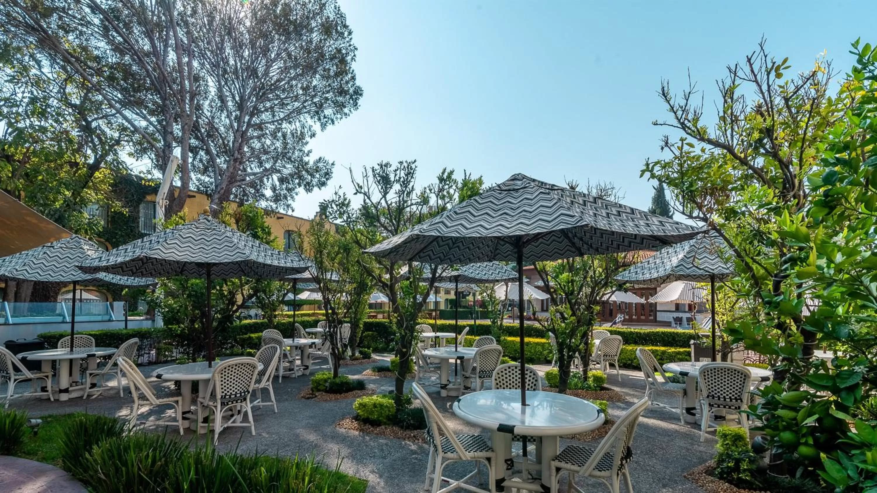 Restaurant/places to eat in Holiday Inn Queretaro Centro Historico by IHG