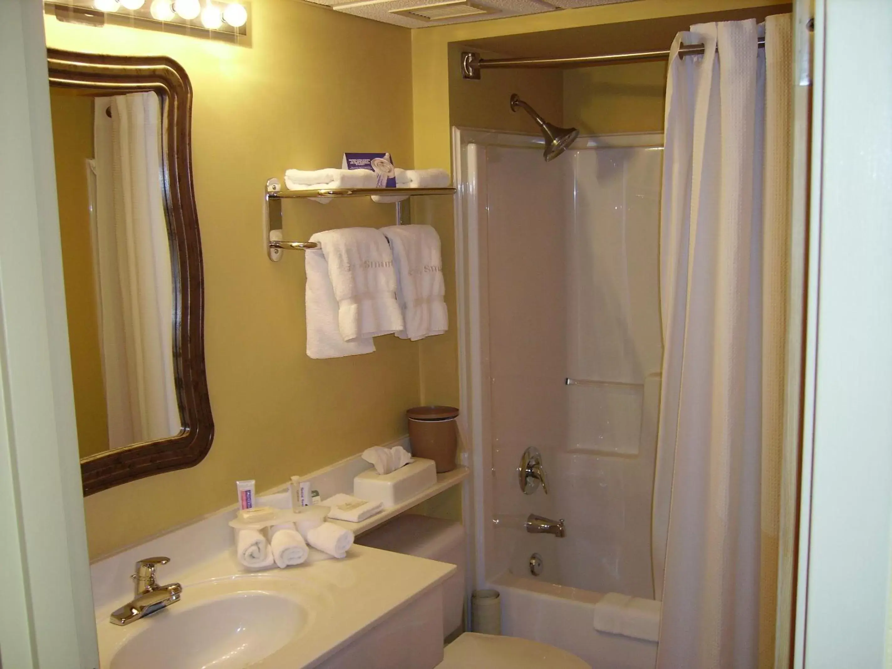 Bathroom in Holiday Inn Express Dryden, an IHG Hotel