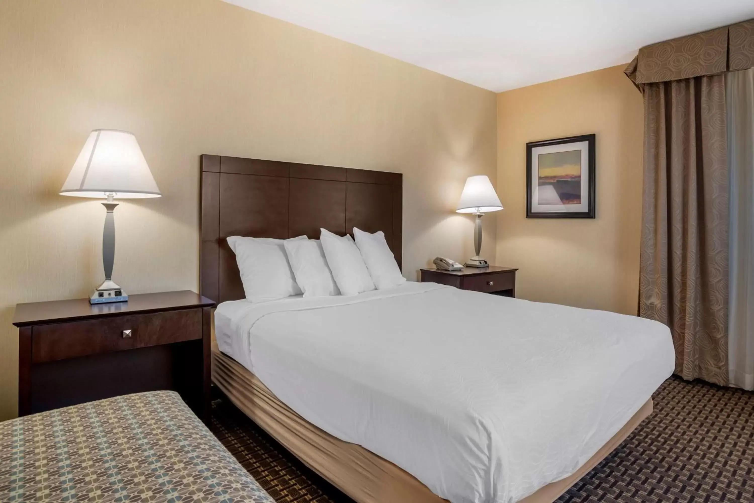 Bed in Best Western Plus Philadelphia Airport South - at Widener University