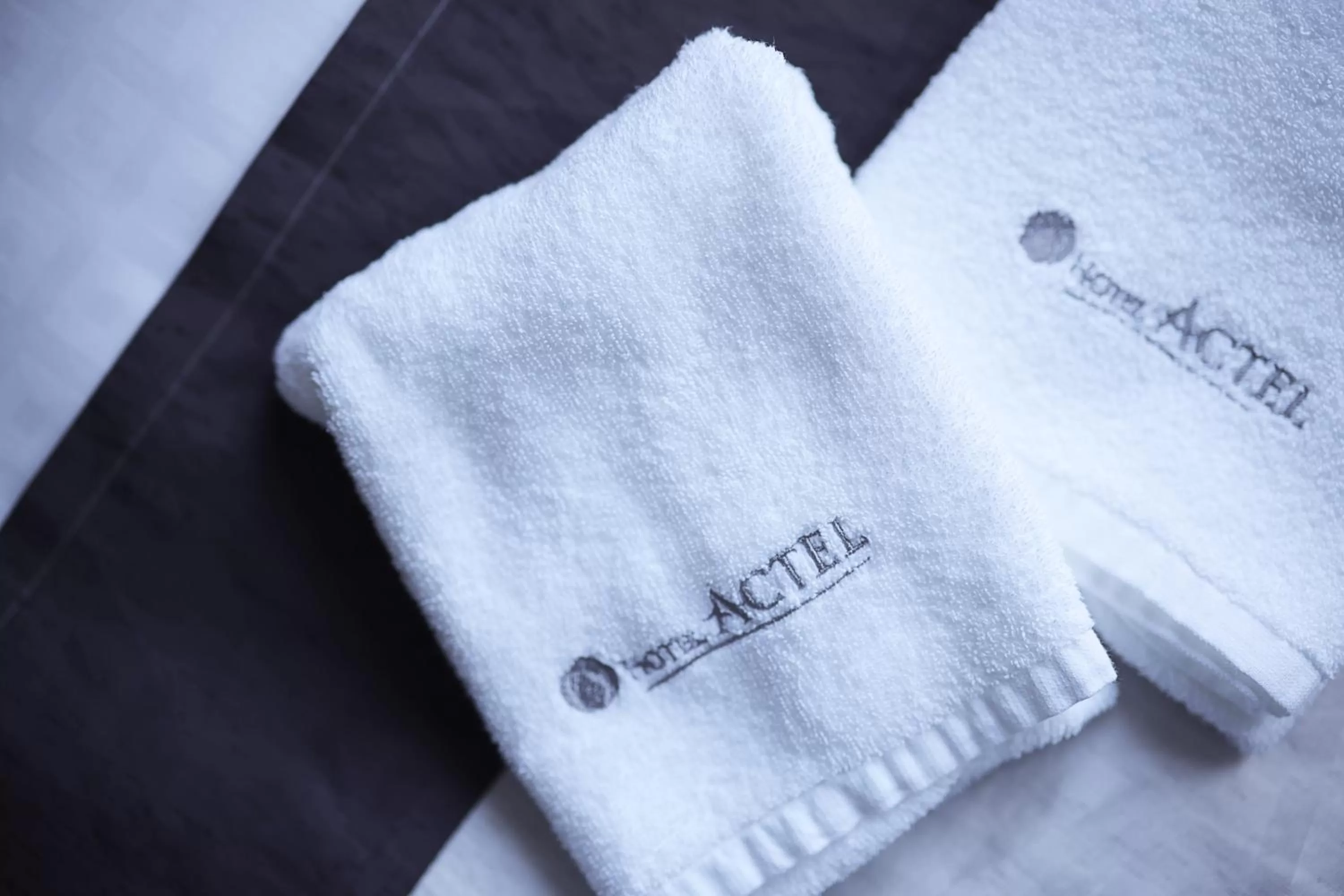 Hotel Actel Nagoya Nishiki