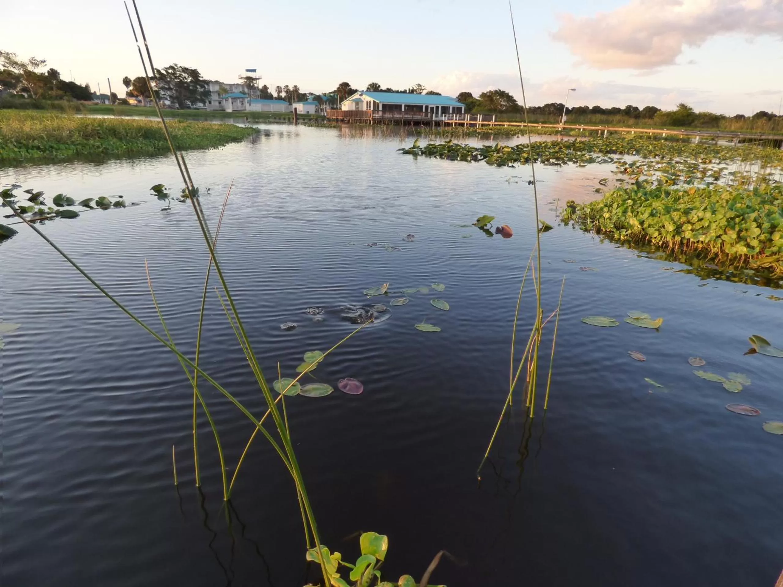 View (from property/room) in Days Inn & Suites by Wyndham Lake Okeechobee