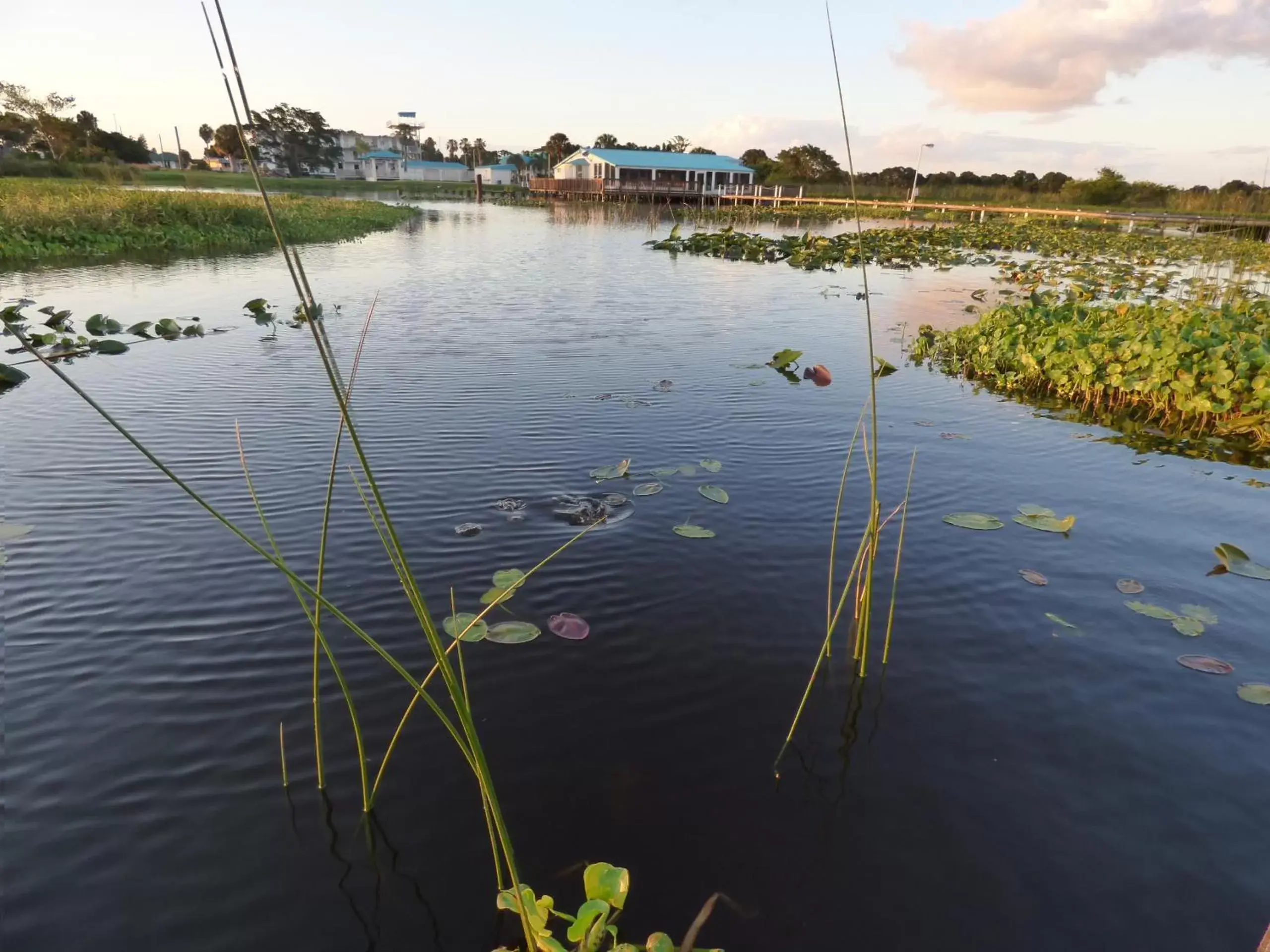 View (from property/room), Natural Landscape in Days Inn & Suites by Wyndham Lake Okeechobee