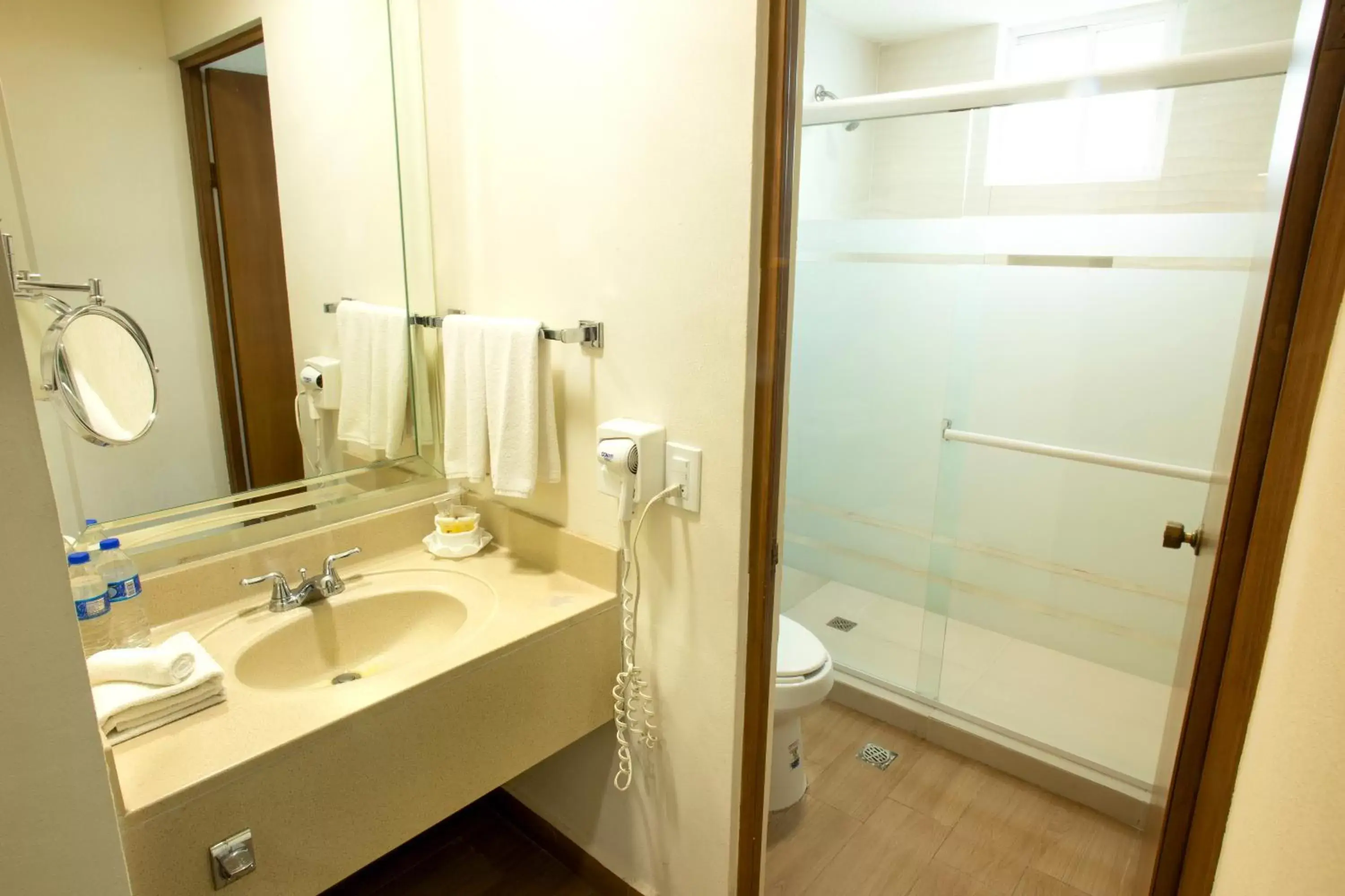 Toilet, Bathroom in Best Western Centro Monterrey