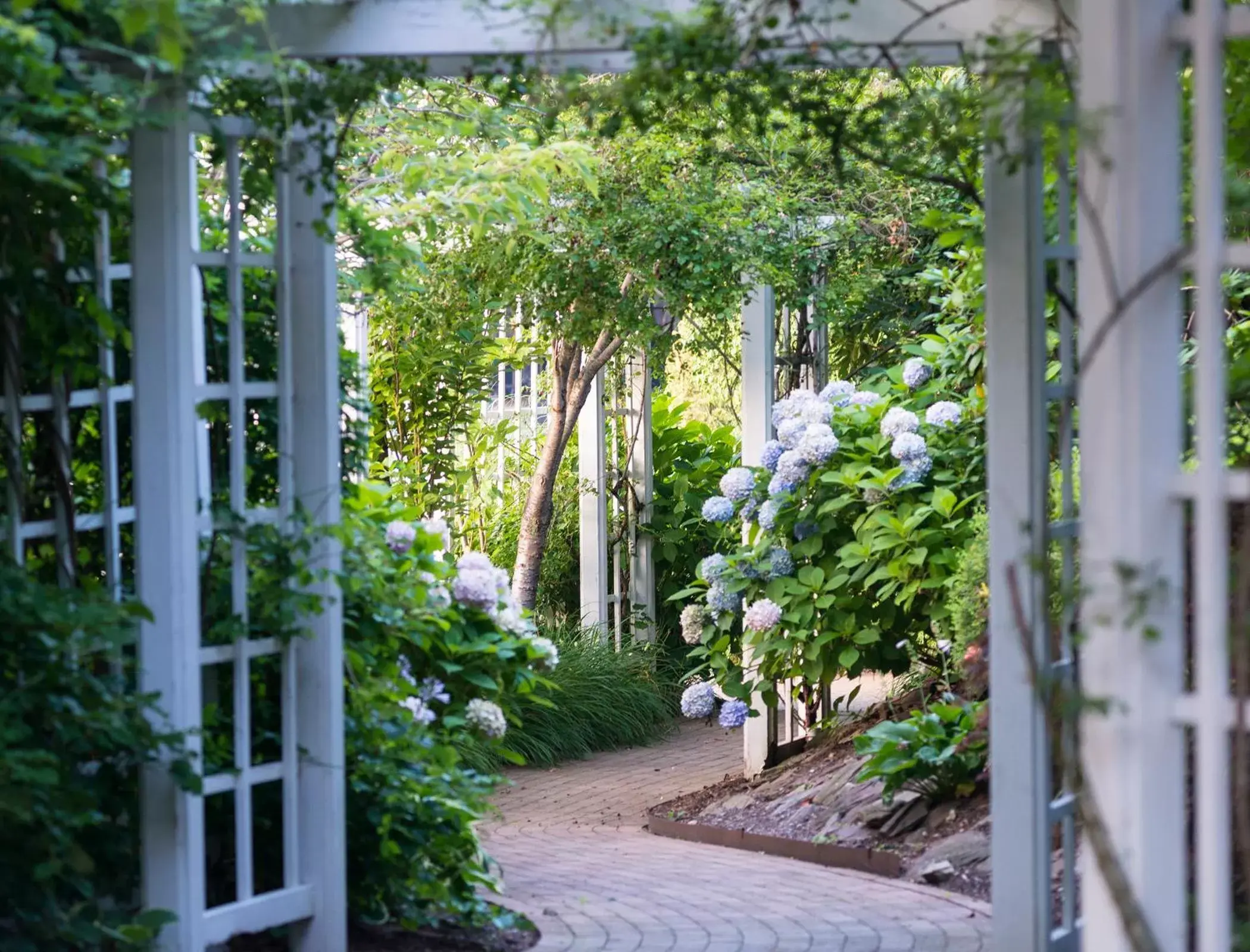 Garden in Garden City Hotel