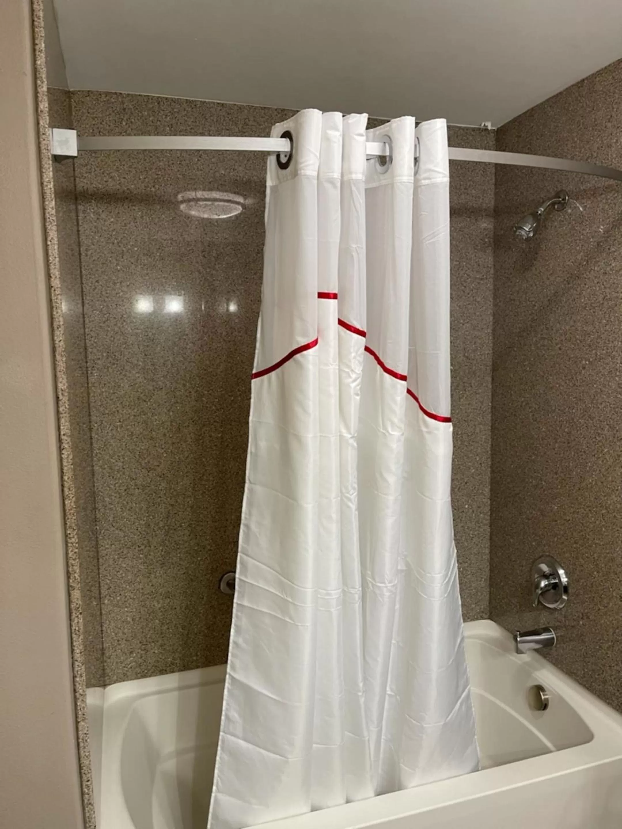 Bathroom in Red Roof Inn & Suites Detroit - Melvindale/Dearborn