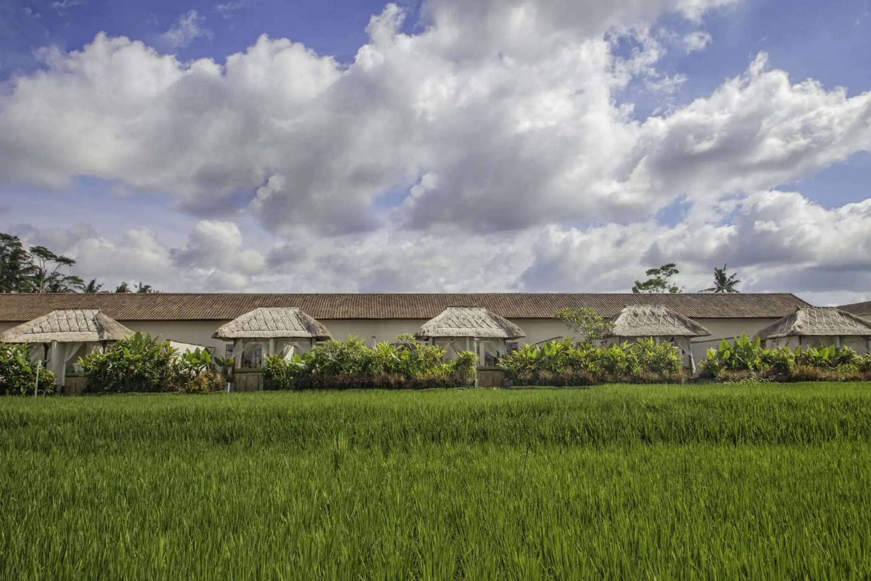 View (from property/room), Property Building in Alam Puisi Villa Ubud