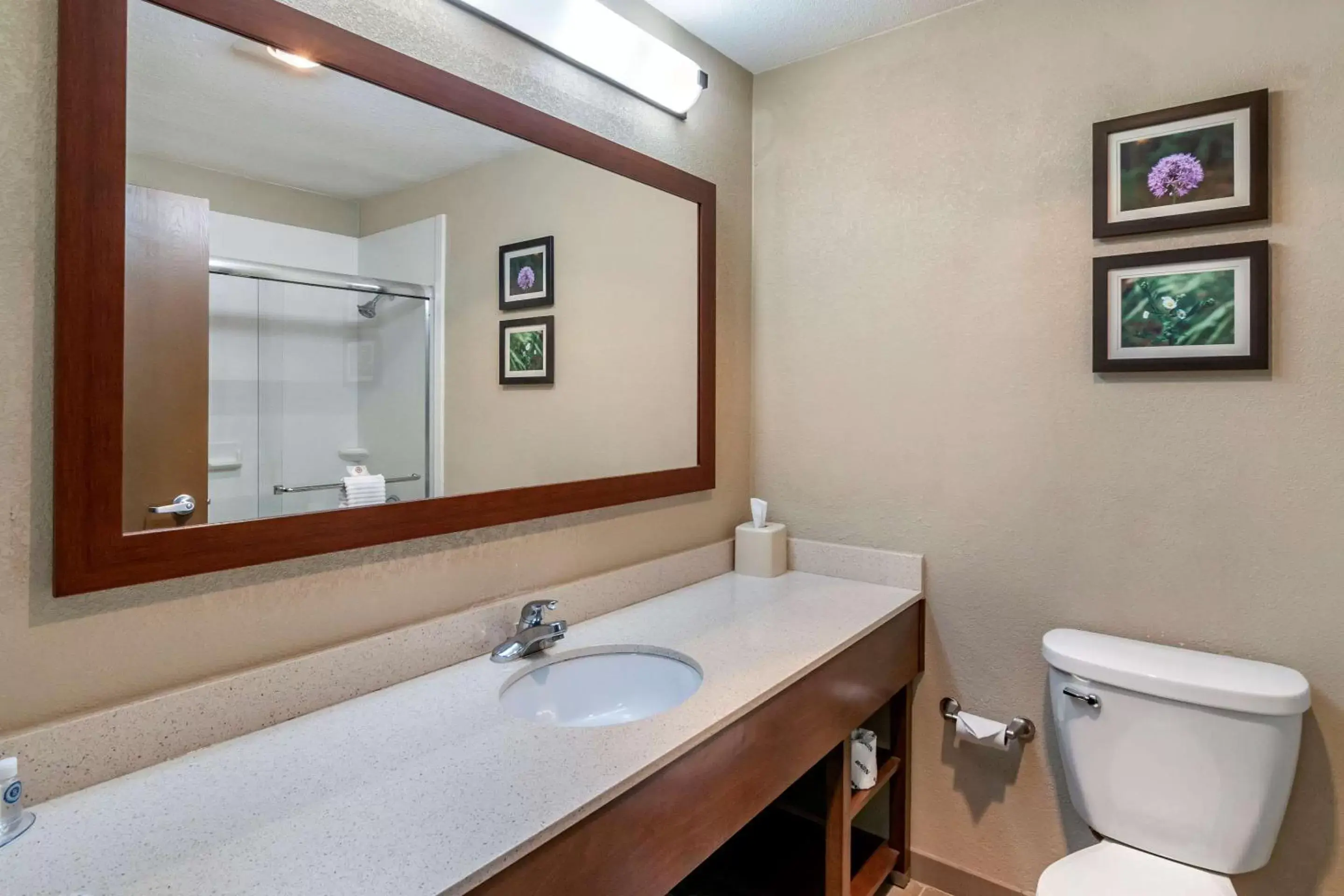 Photo of the whole room, Bathroom in Comfort Inn & Suites Junction City - near Fort Riley
