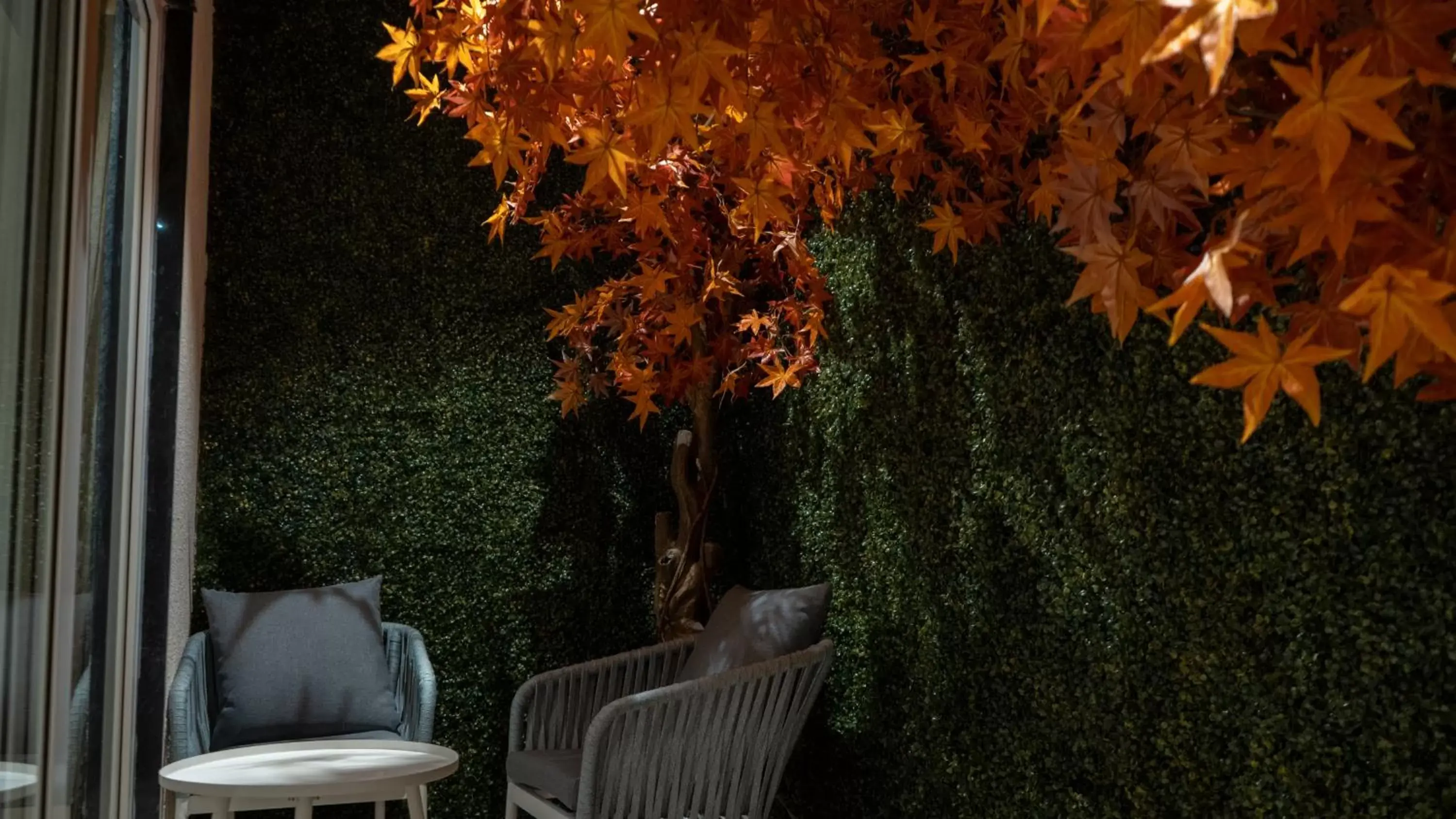 Garden view in Clarks Inn Suites Kangra Garden view in Clarks Inn Suites Kangra