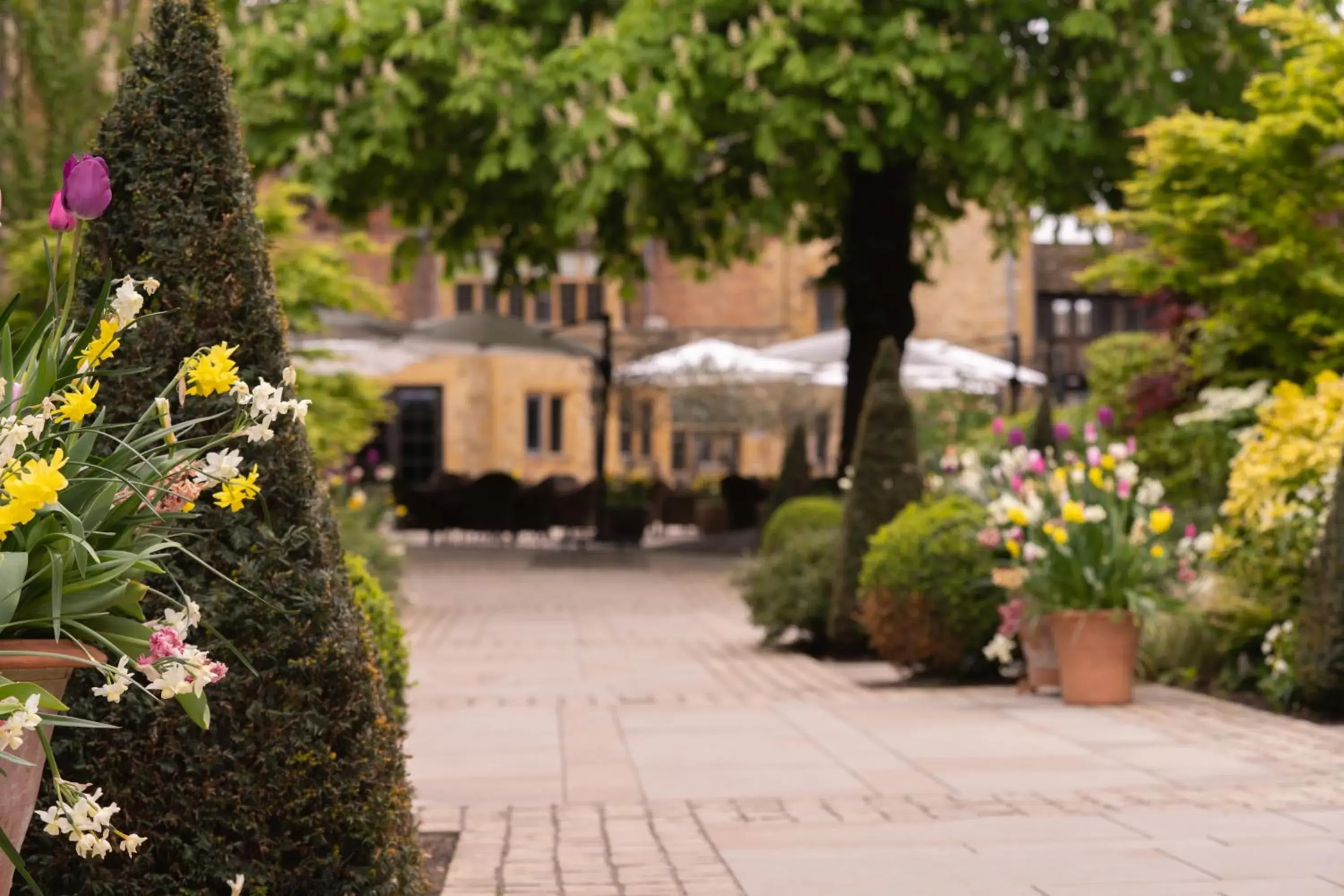 Property Building in The Lygon Arms