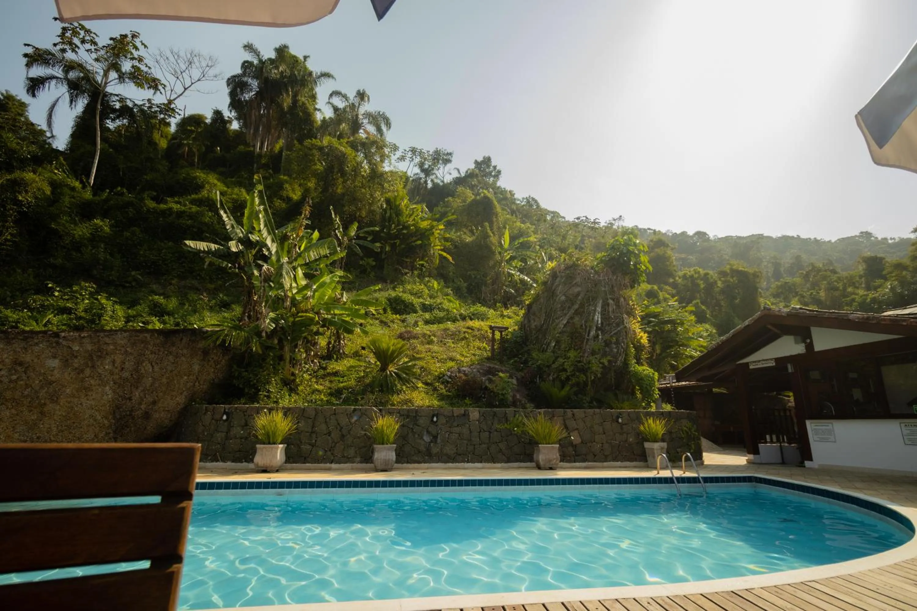 Swimming pool in Hotel Coquille