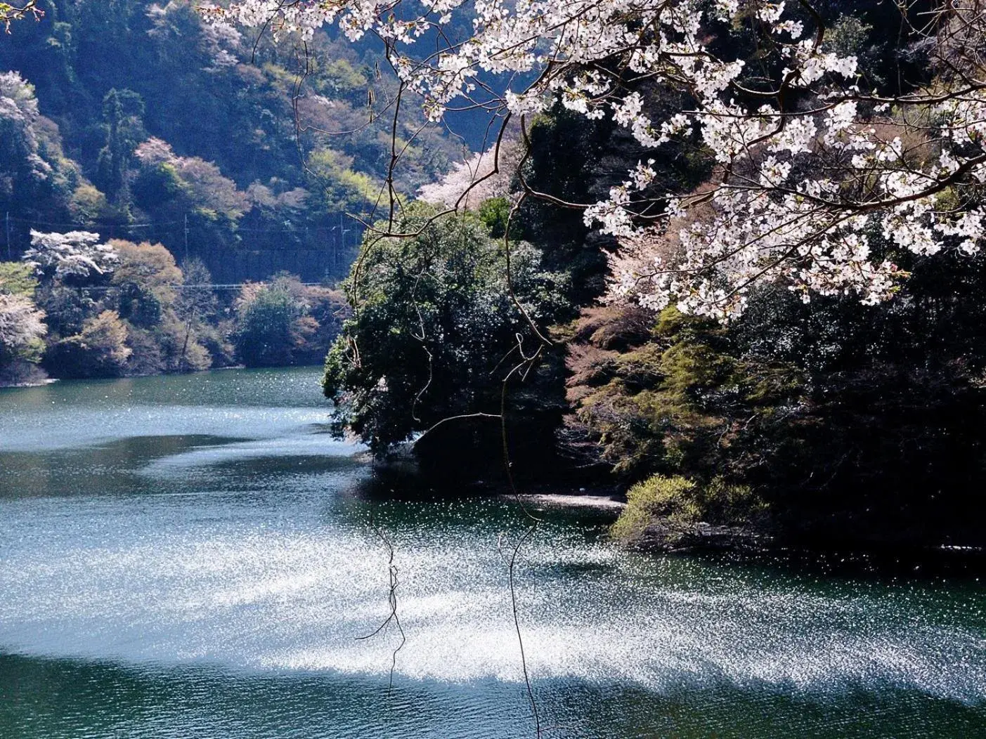 Off site in Kyoto Uji Hanayashiki Ukifune-En