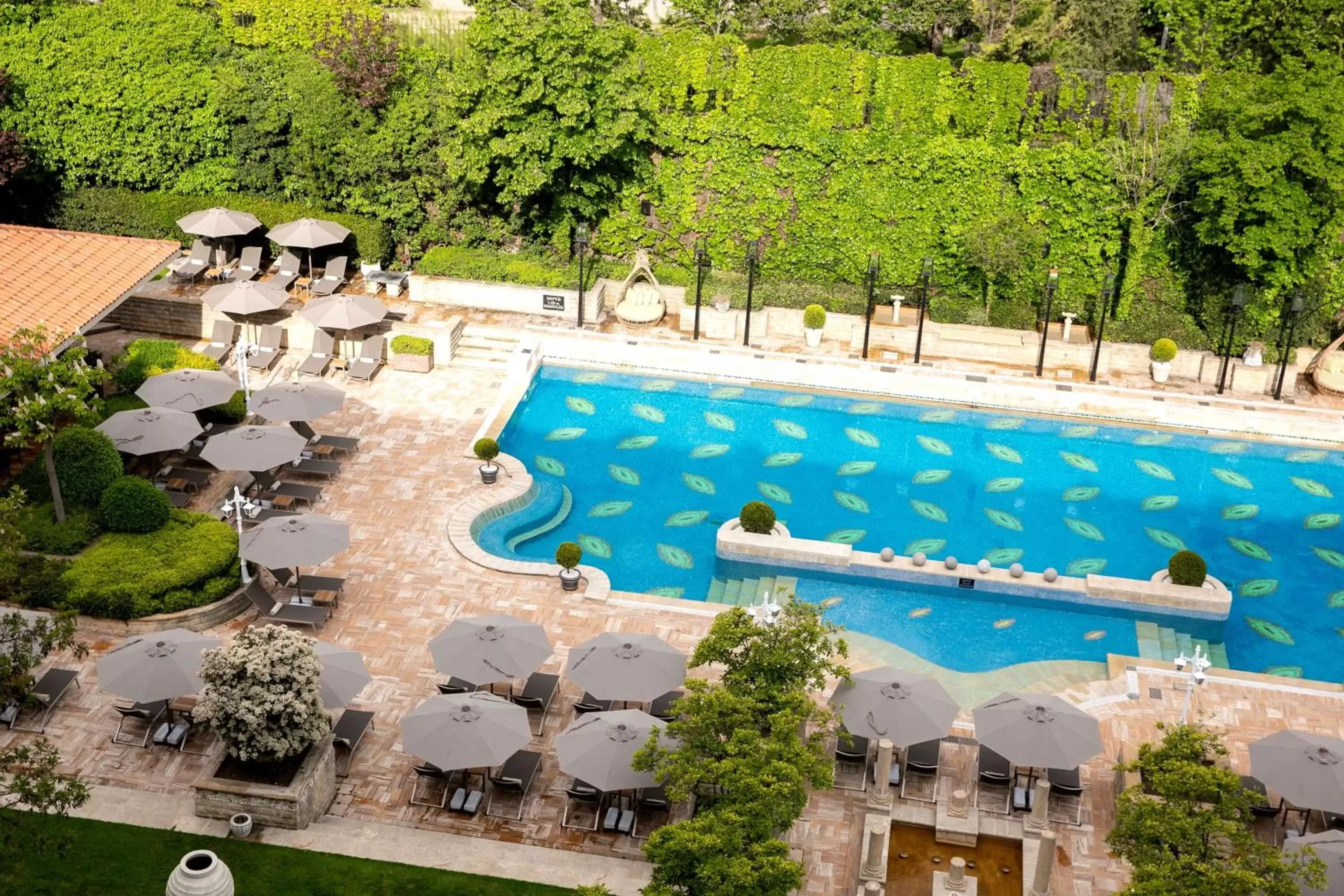 Swimming pool, Pool View in Grand Hyatt Istanbul