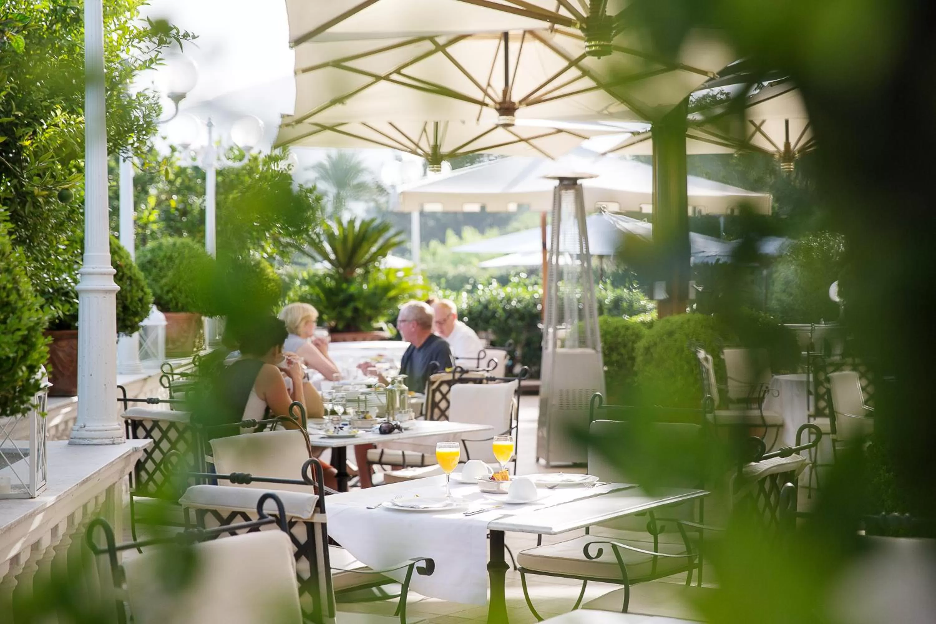 Garden in La Medusa Hotel - Dimora di Charme