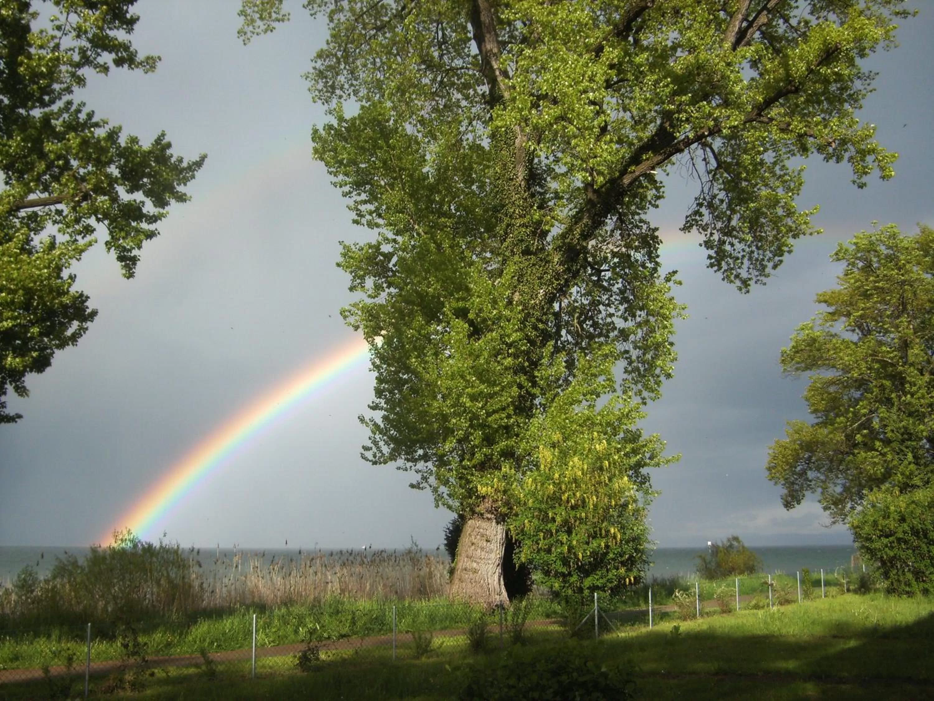View (from property/room) in Hotel Restaurant Sokrates