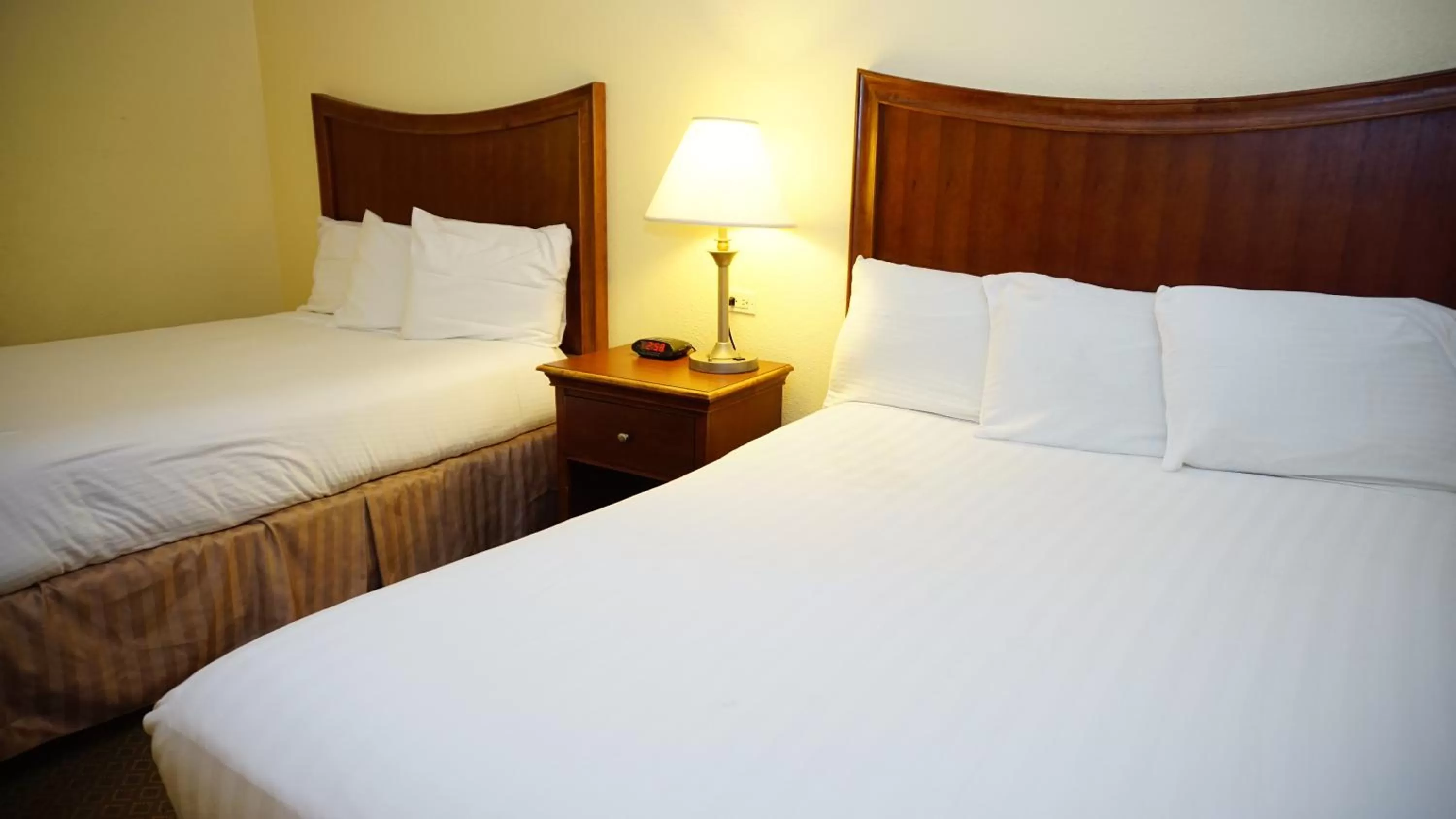 Bed in Baymont by Wyndham Arlington At Six Flags Dr