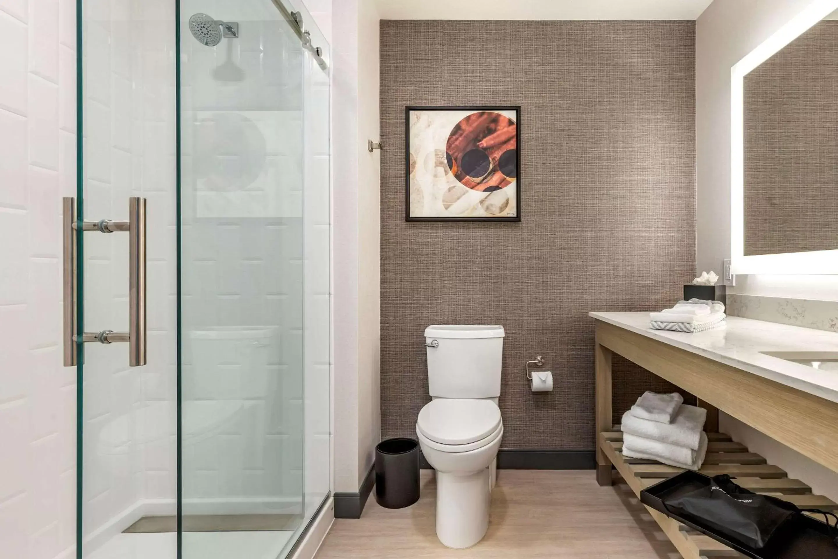 Photo of the whole room, Bathroom in Cambria Hotel Rock Hill - University Center