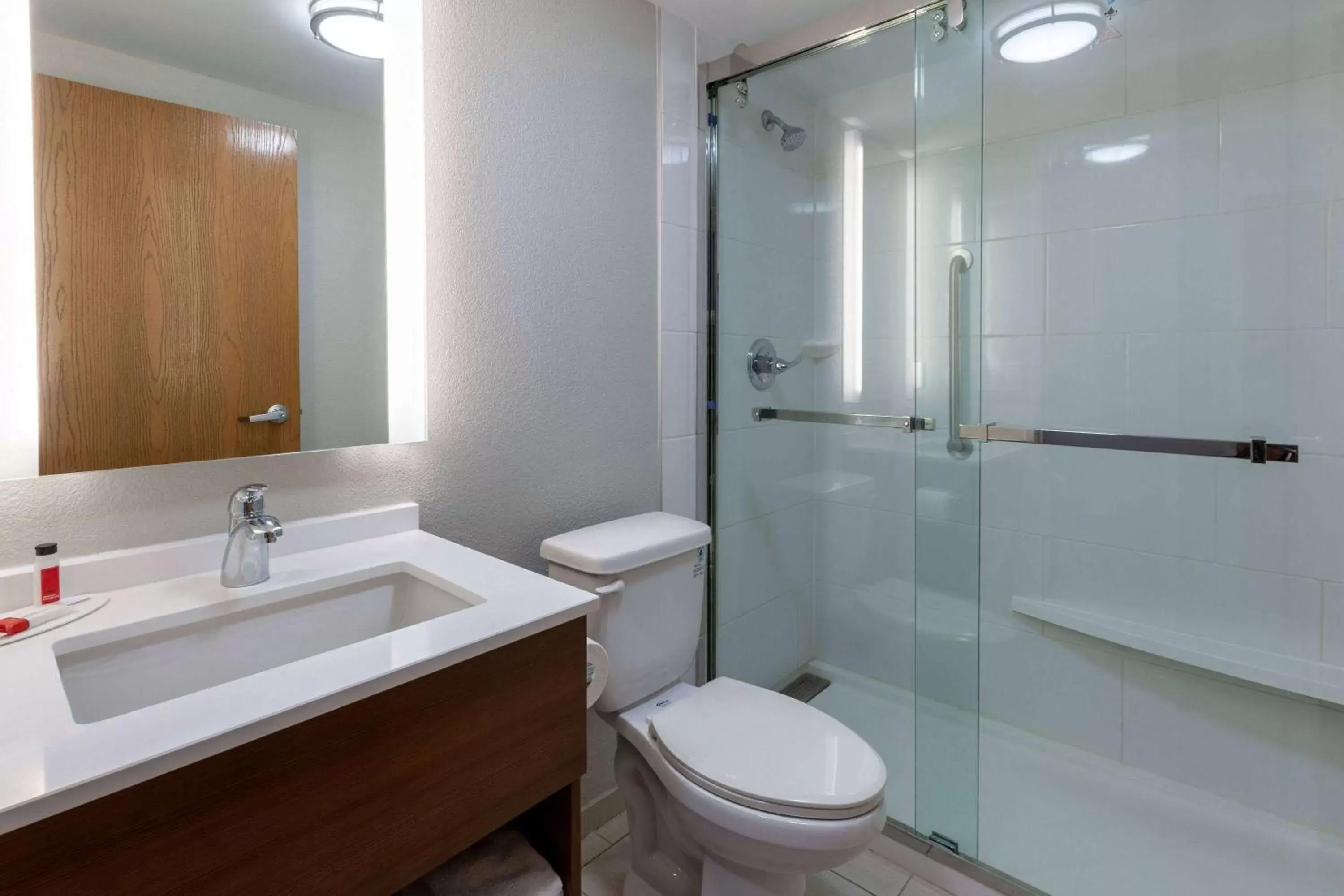 TV and multimedia, Bathroom in Microtel Inn & Suites by Wyndham Sunbury - Columbus North