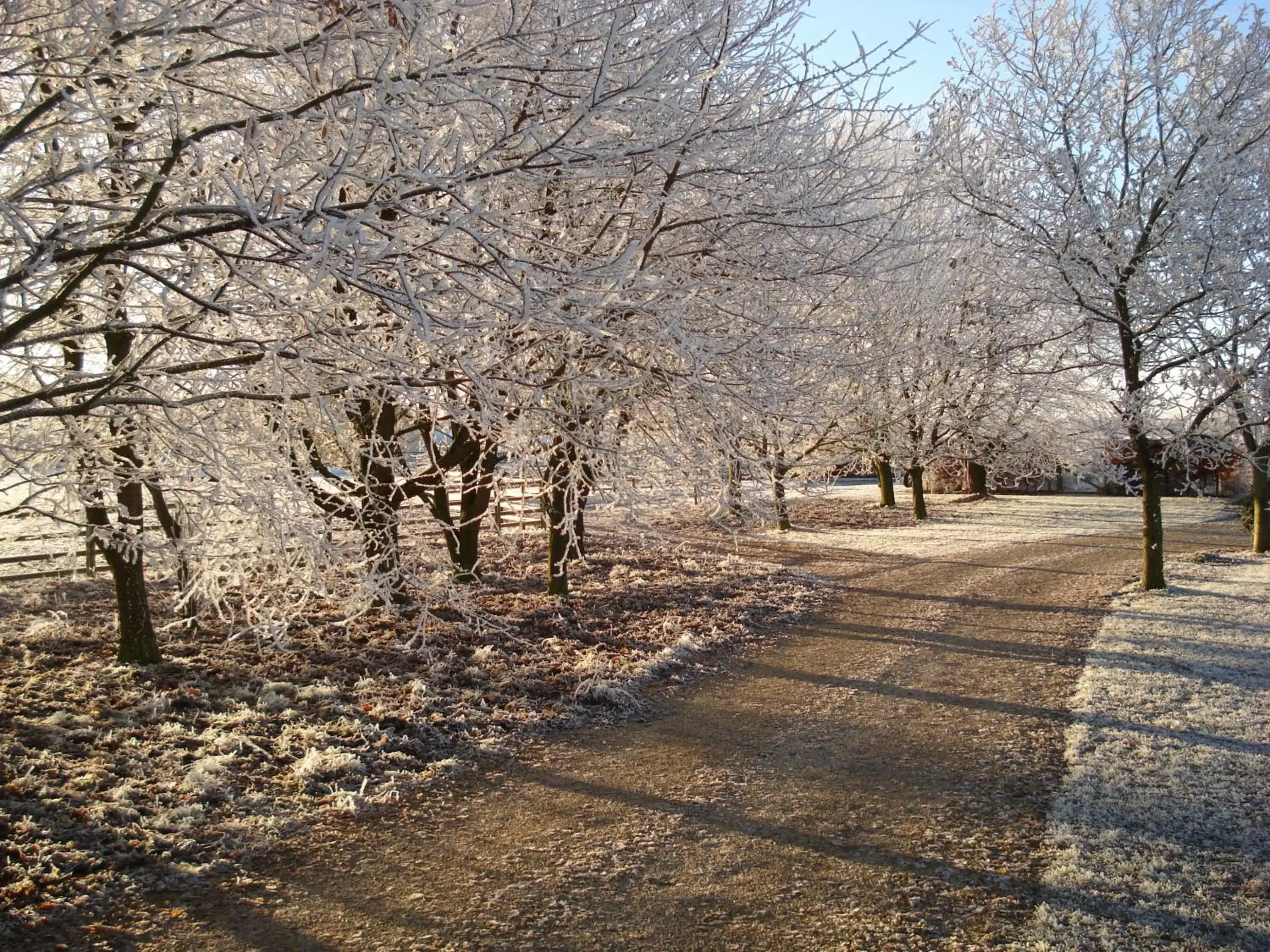 Winter in Weston Hill Farm