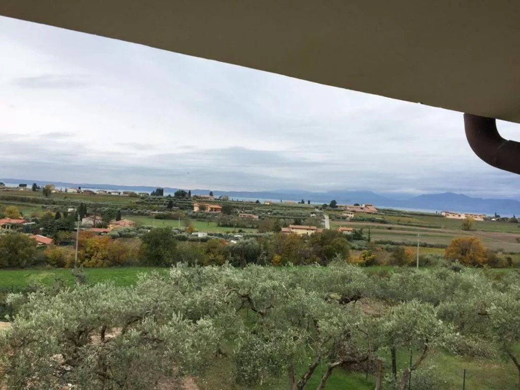 Neighbourhood in AGRITURISMO MELOGRANO D'ORO