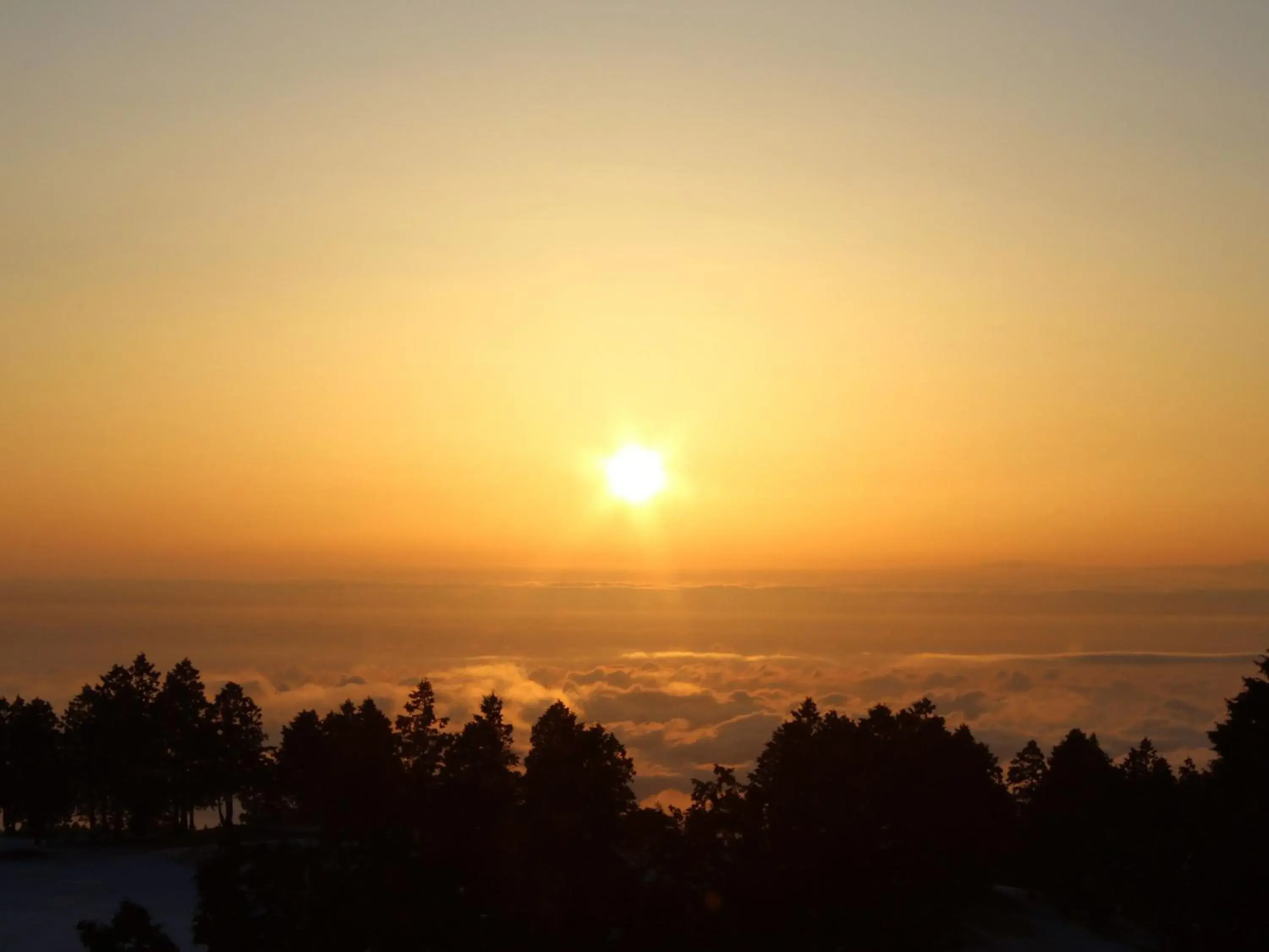 Sunrise/Sunset in Hakone Yunohana Prince Hotel