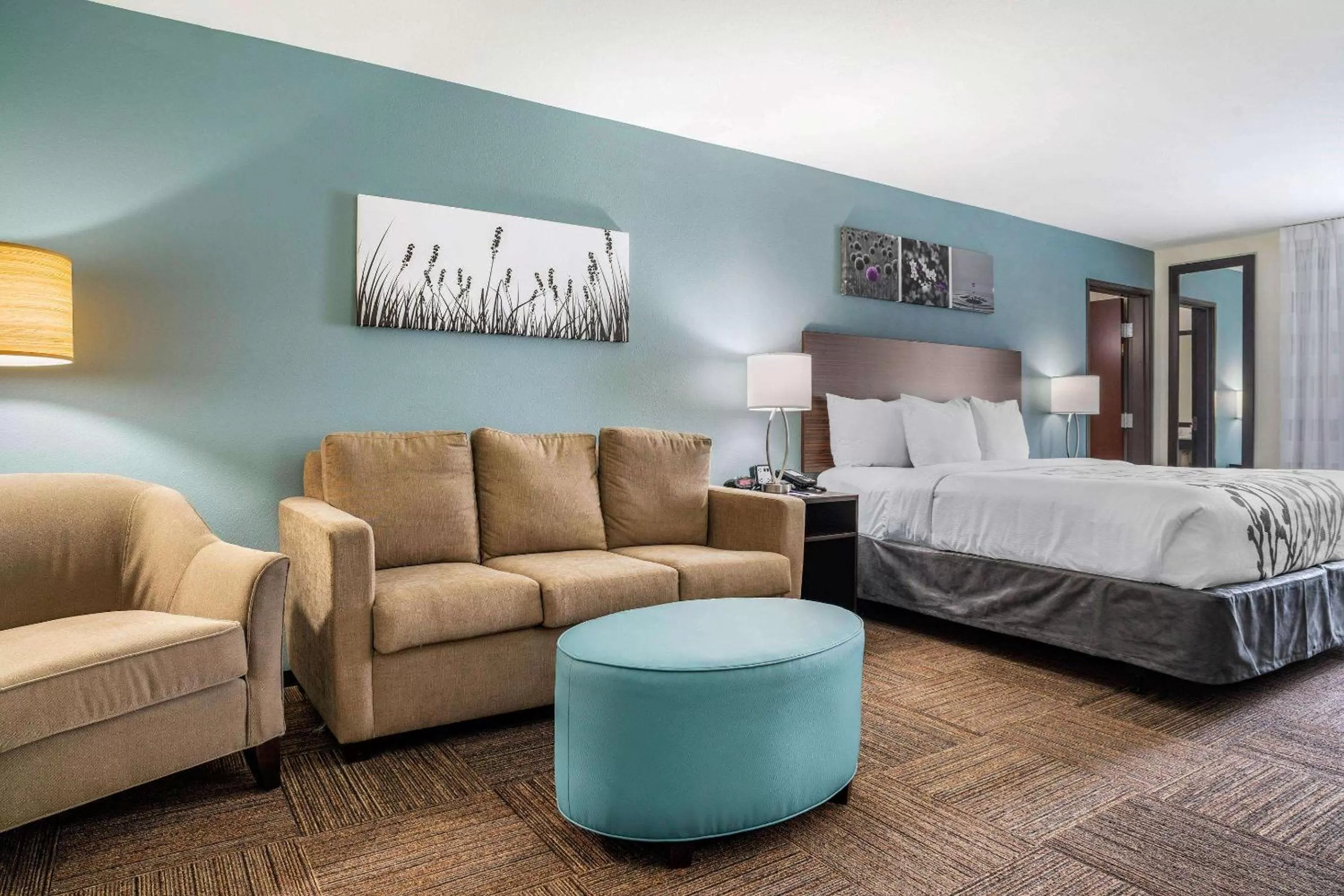 King Suite - Accessible/Non-Smoking in Sleep Inn & Suites near Westchase